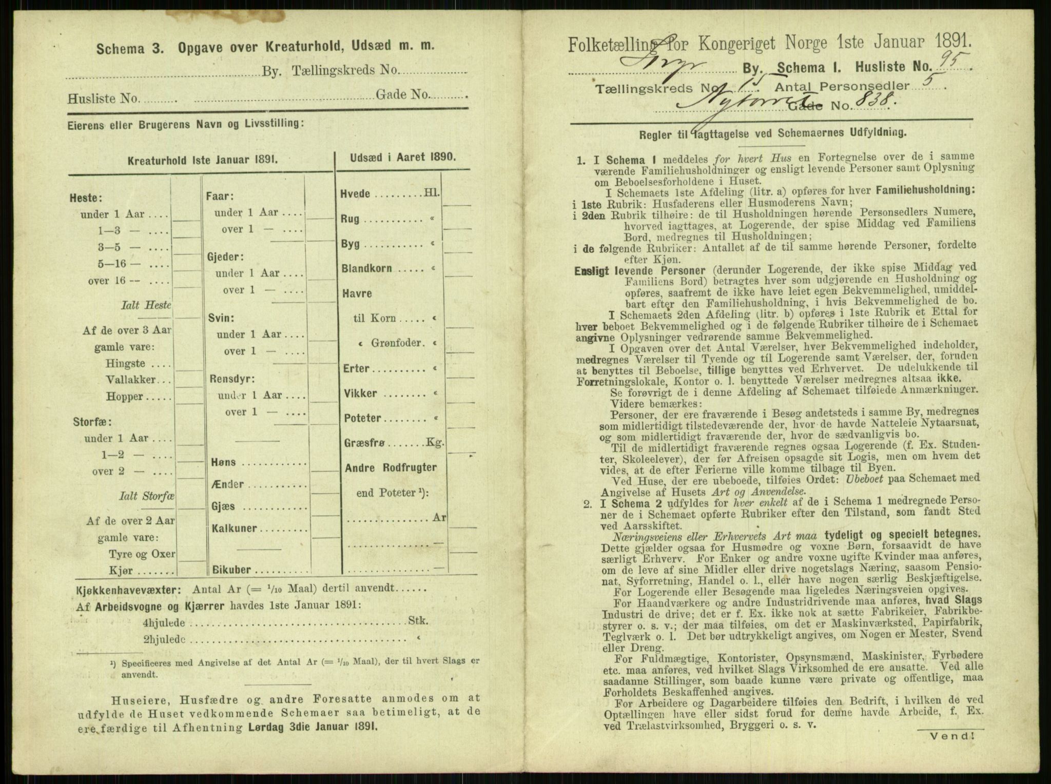 RA, 1891 census for 1103 Stavanger, 1891, p. 2977