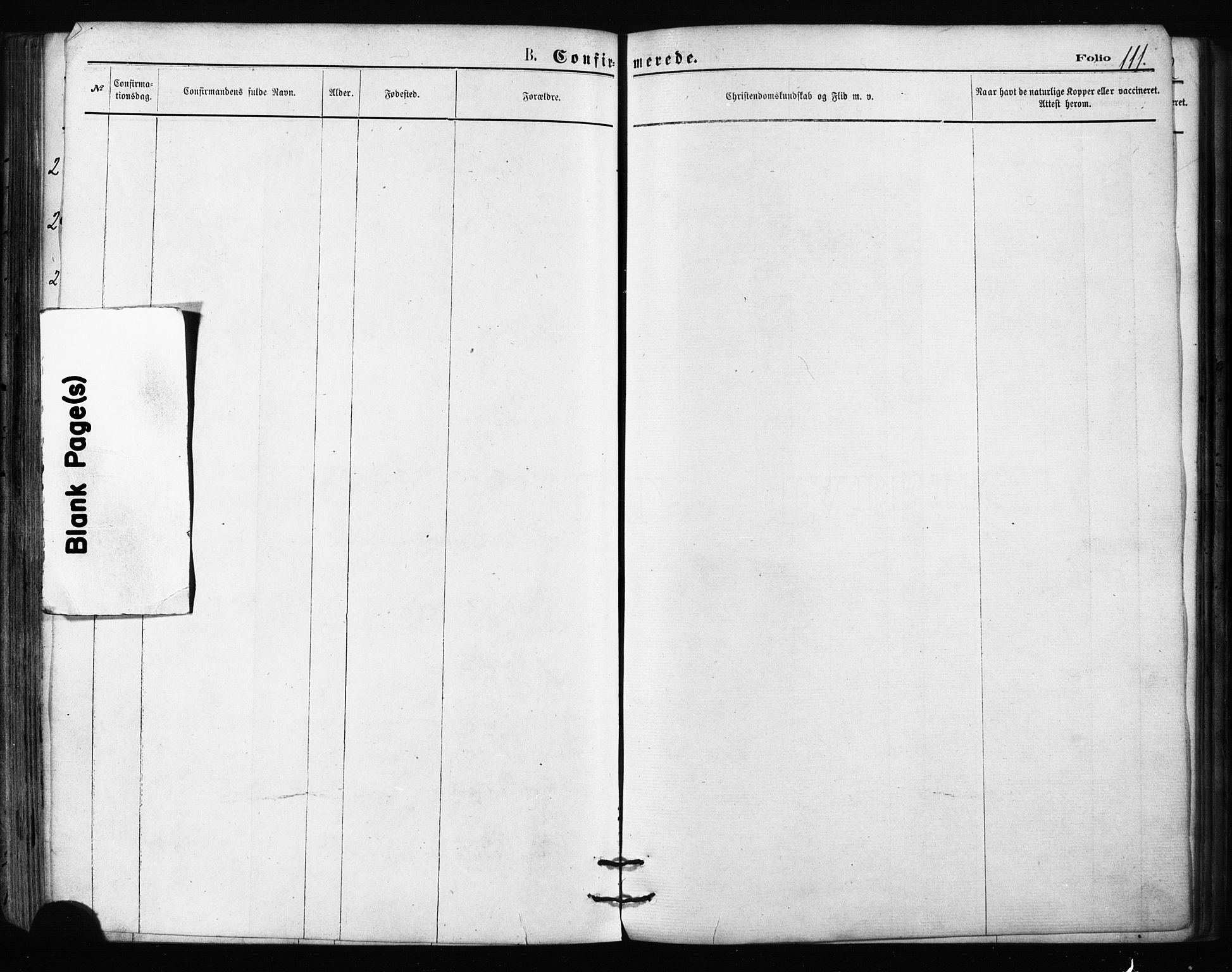 Balsfjord sokneprestembete, AV/SATØ-S-1303/G/Ga/L0002kirke: Parish register (official) no. 2, 1871-1886, p. 111