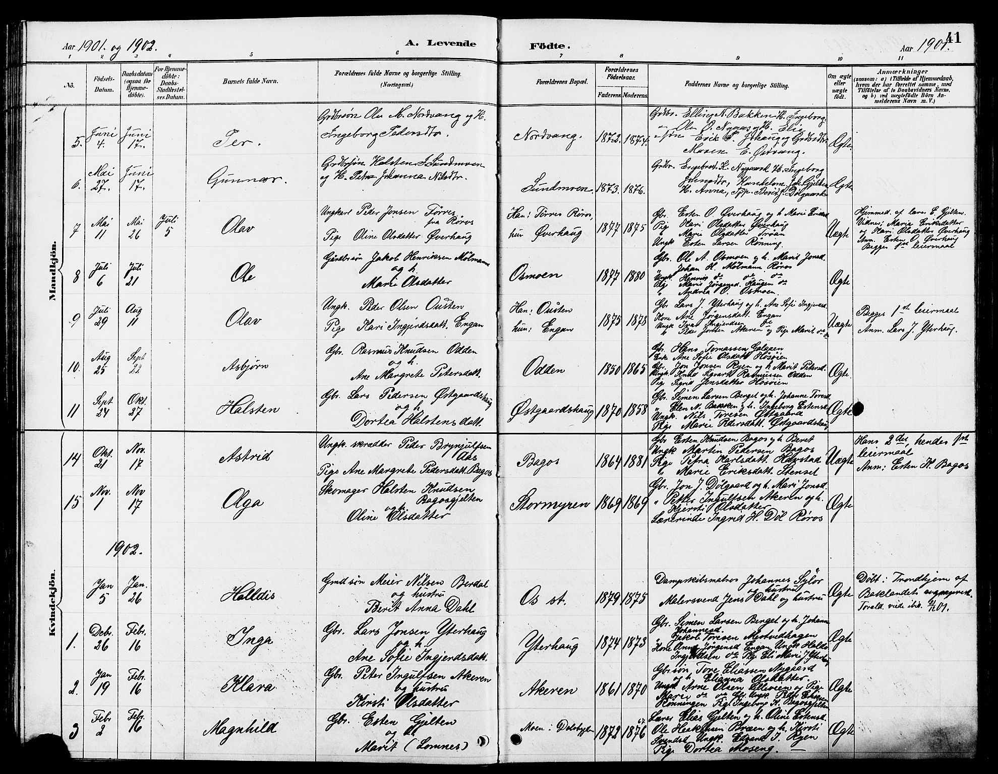 Tolga prestekontor, AV/SAH-PREST-062/L/L0008: Parish register (copy) no. 8, 1887-1912, p. 41