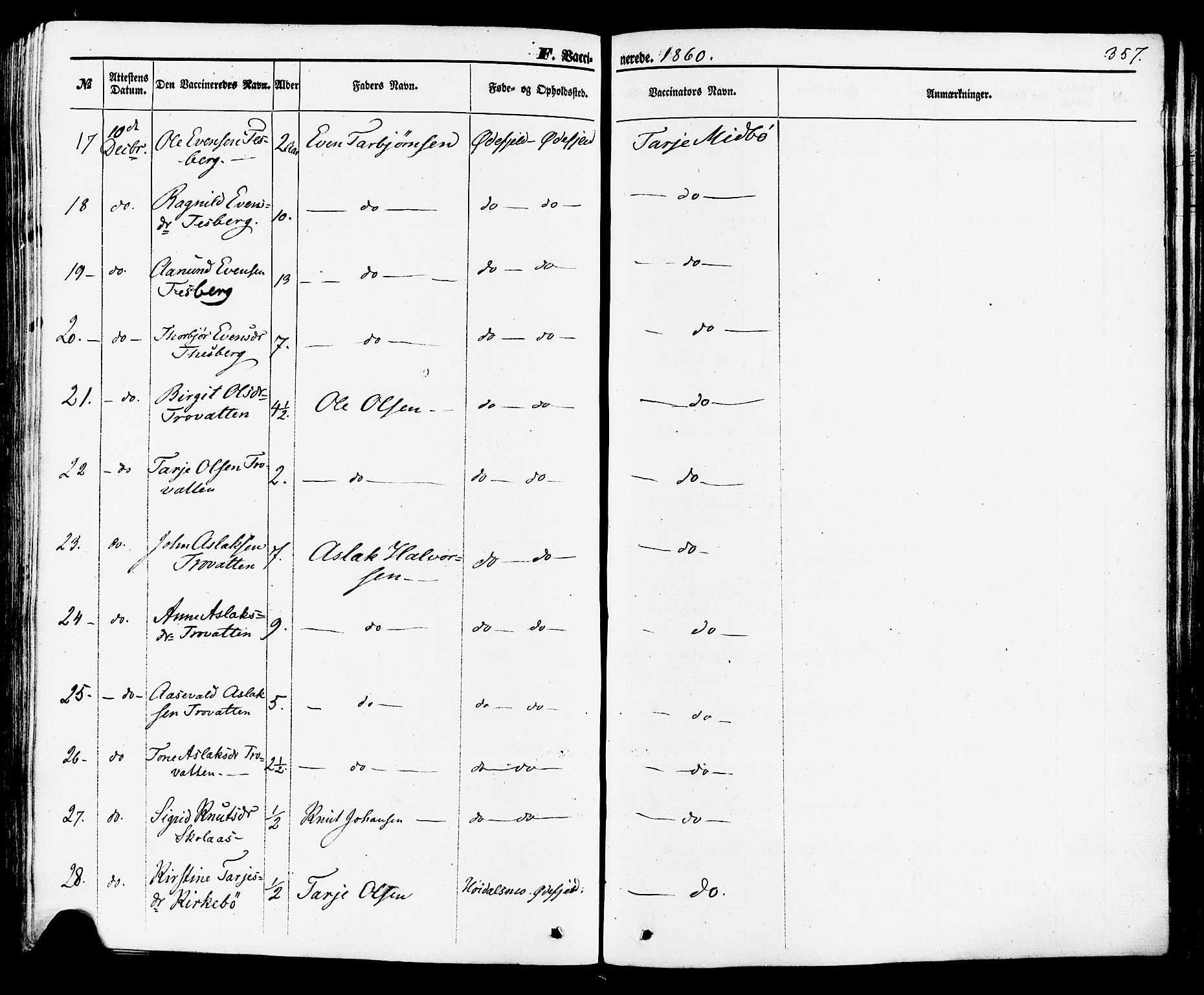 Rauland kirkebøker, SAKO/A-292/F/Fa/L0003: Parish register (official) no. 3, 1859-1886, p. 357