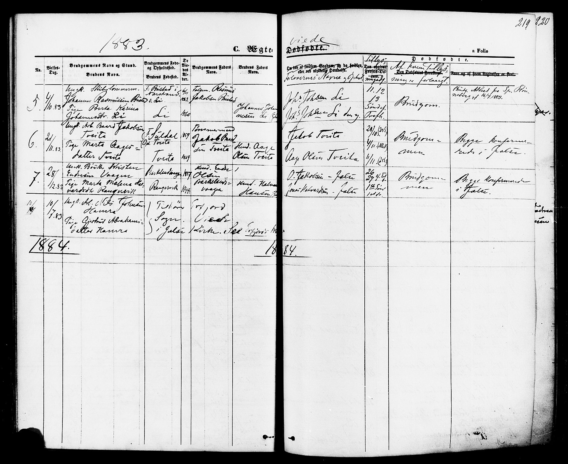 Jelsa sokneprestkontor, AV/SAST-A-101842/01/IV: Parish register (official) no. A 8, 1867-1883, p. 219