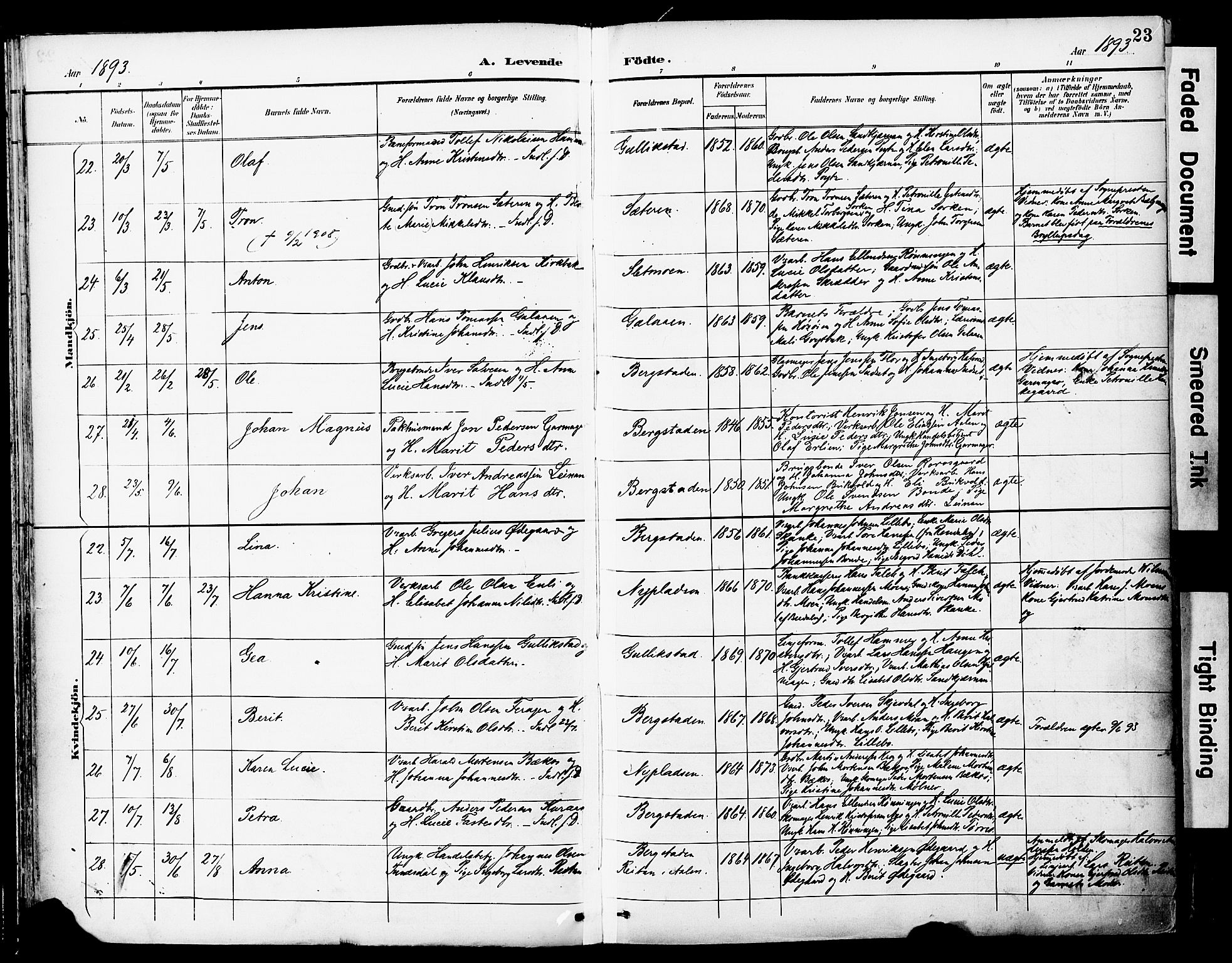 Ministerialprotokoller, klokkerbøker og fødselsregistre - Sør-Trøndelag, SAT/A-1456/681/L0935: Parish register (official) no. 681A13, 1890-1898, p. 23