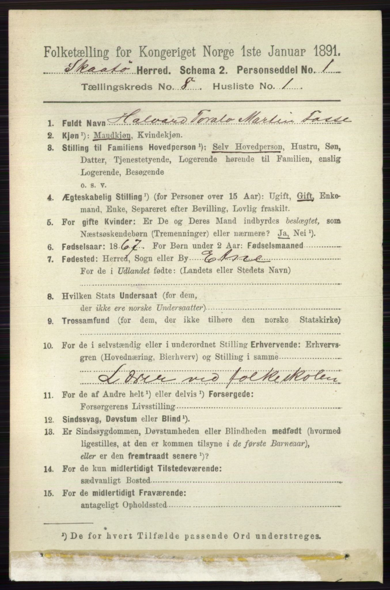 RA, 1891 census for 0815 Skåtøy, 1891, p. 3531