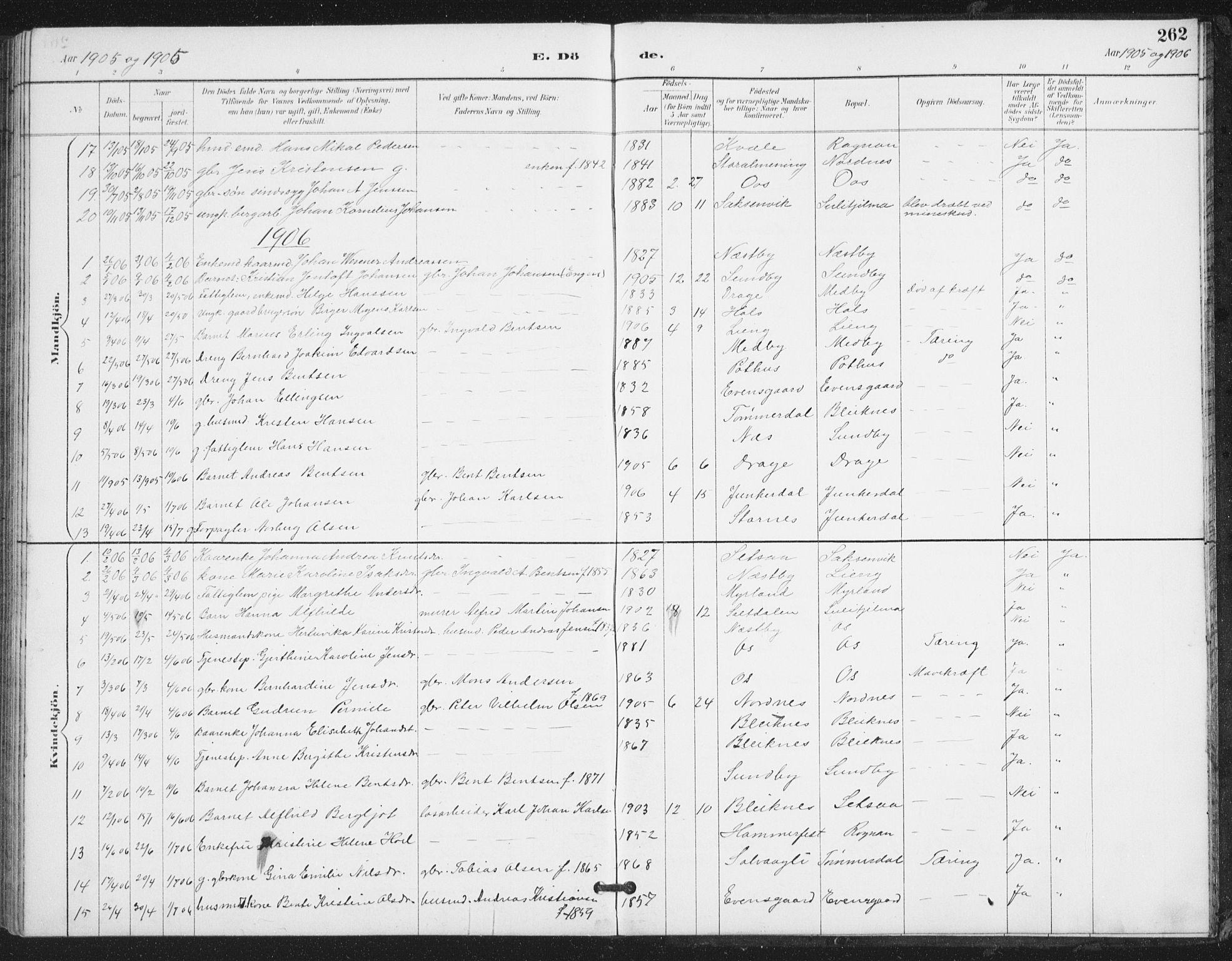 Ministerialprotokoller, klokkerbøker og fødselsregistre - Nordland, SAT/A-1459/847/L0682: Parish register (copy) no. 847C10, 1889-1907, p. 262