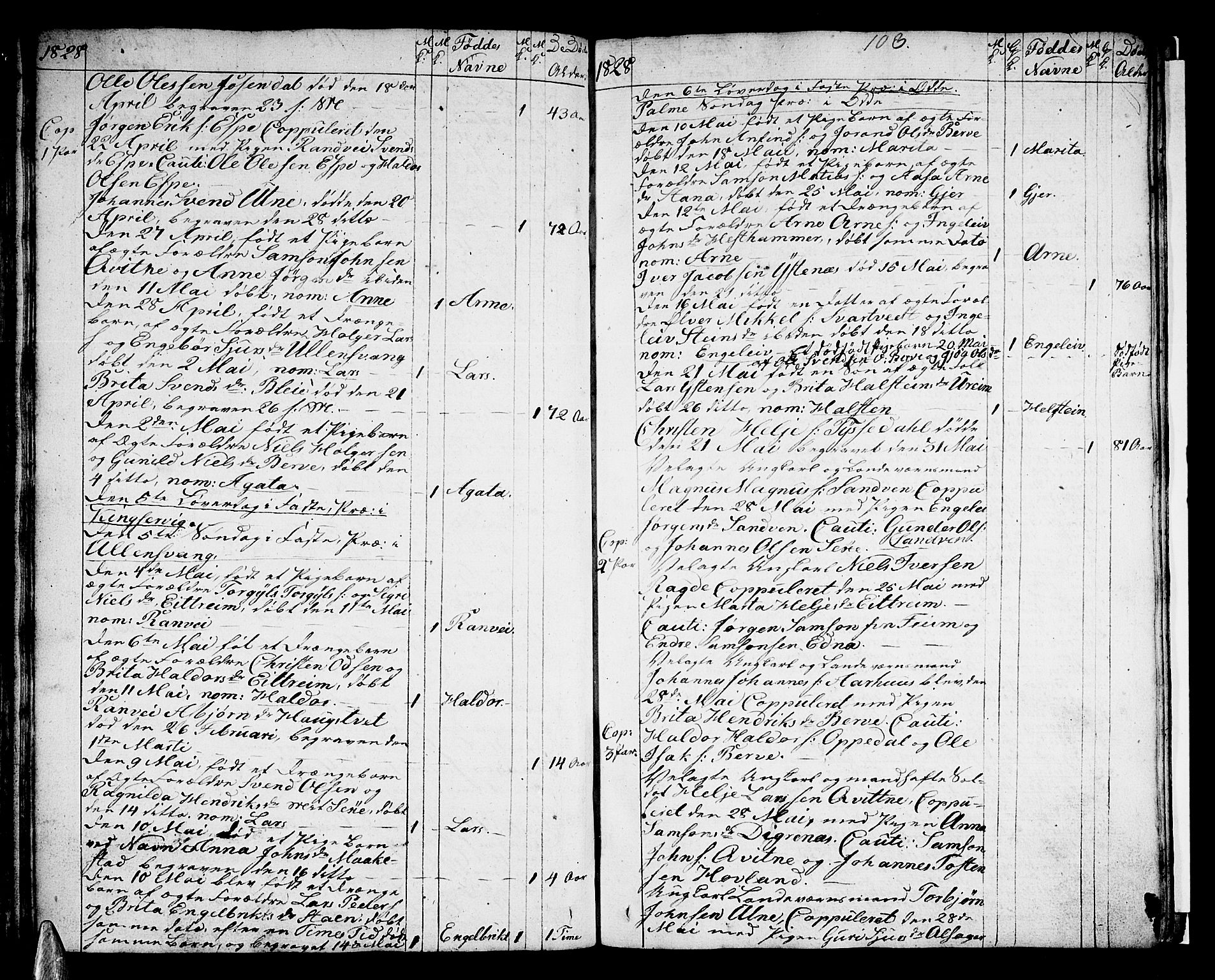 Ullensvang sokneprestembete, SAB/A-78701/H/Haa: Parish register (official) no. A 8, 1804-1835, p. 103