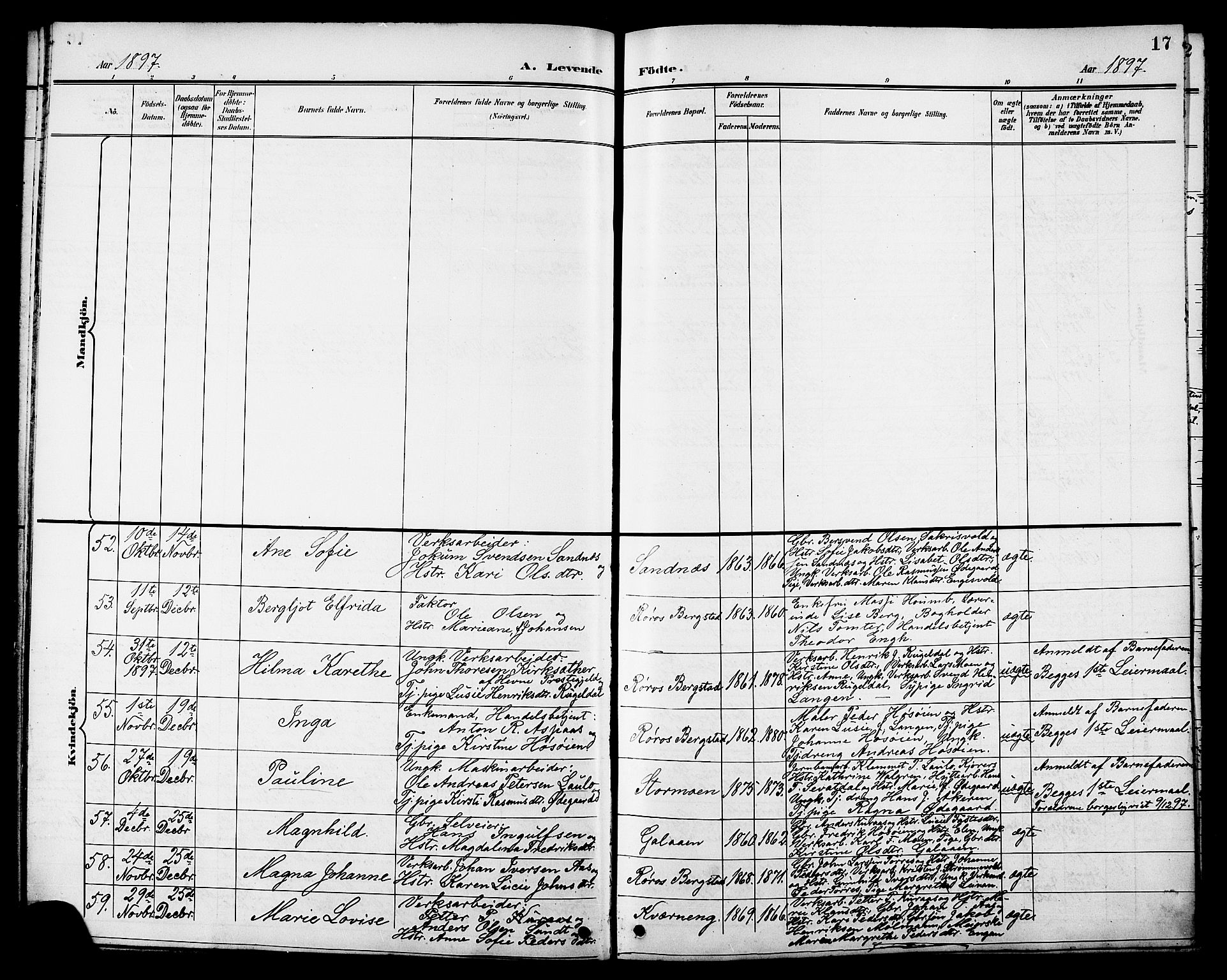 Ministerialprotokoller, klokkerbøker og fødselsregistre - Sør-Trøndelag, AV/SAT-A-1456/681/L0941: Parish register (copy) no. 681C05, 1896-1905, p. 17