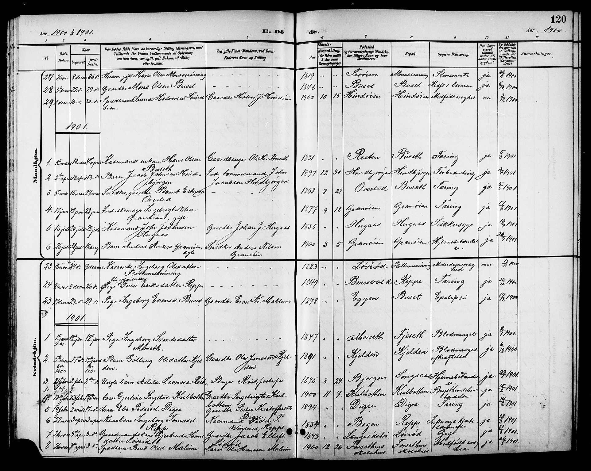 Ministerialprotokoller, klokkerbøker og fødselsregistre - Sør-Trøndelag, SAT/A-1456/688/L1029: Parish register (copy) no. 688C04, 1899-1915, p. 120