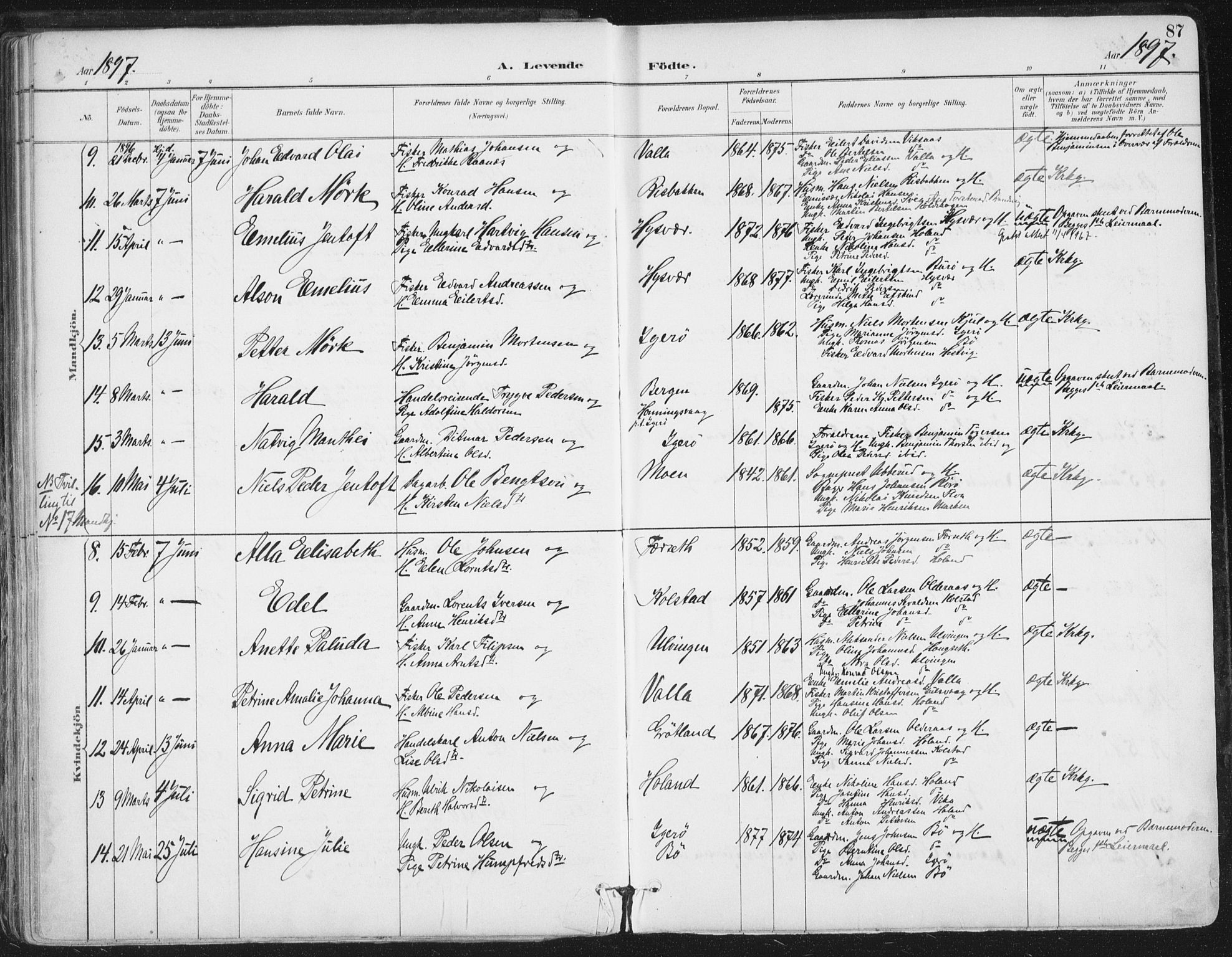 Ministerialprotokoller, klokkerbøker og fødselsregistre - Nordland, AV/SAT-A-1459/816/L0244: Parish register (official) no. 816A10, 1886-1903, p. 87