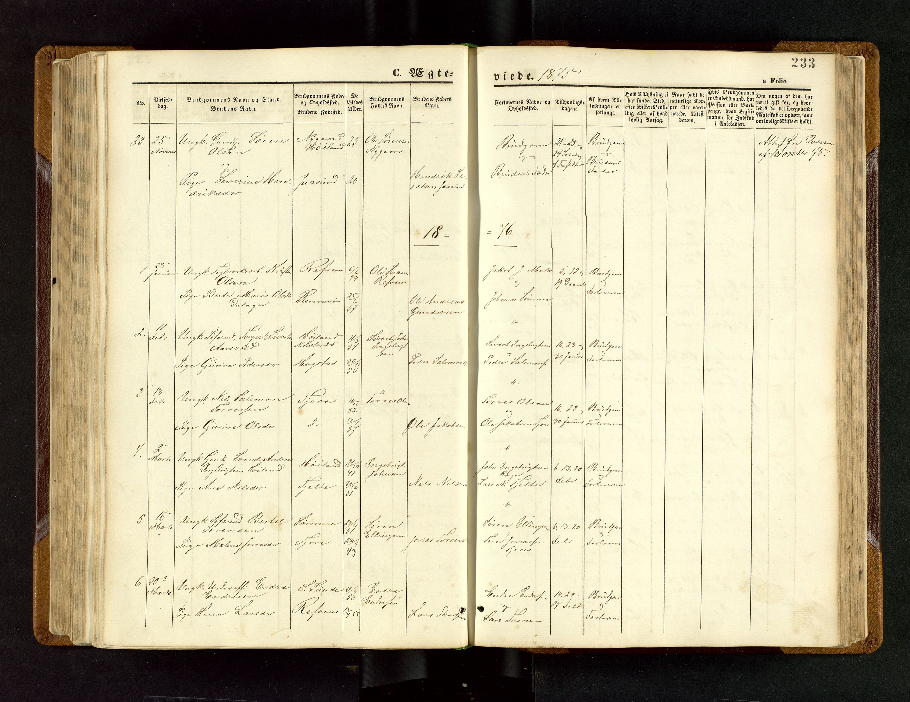 Håland sokneprestkontor, AV/SAST-A-101802/001/30BB/L0003: Parish register (copy) no. B 3, 1873-1893, p. 233