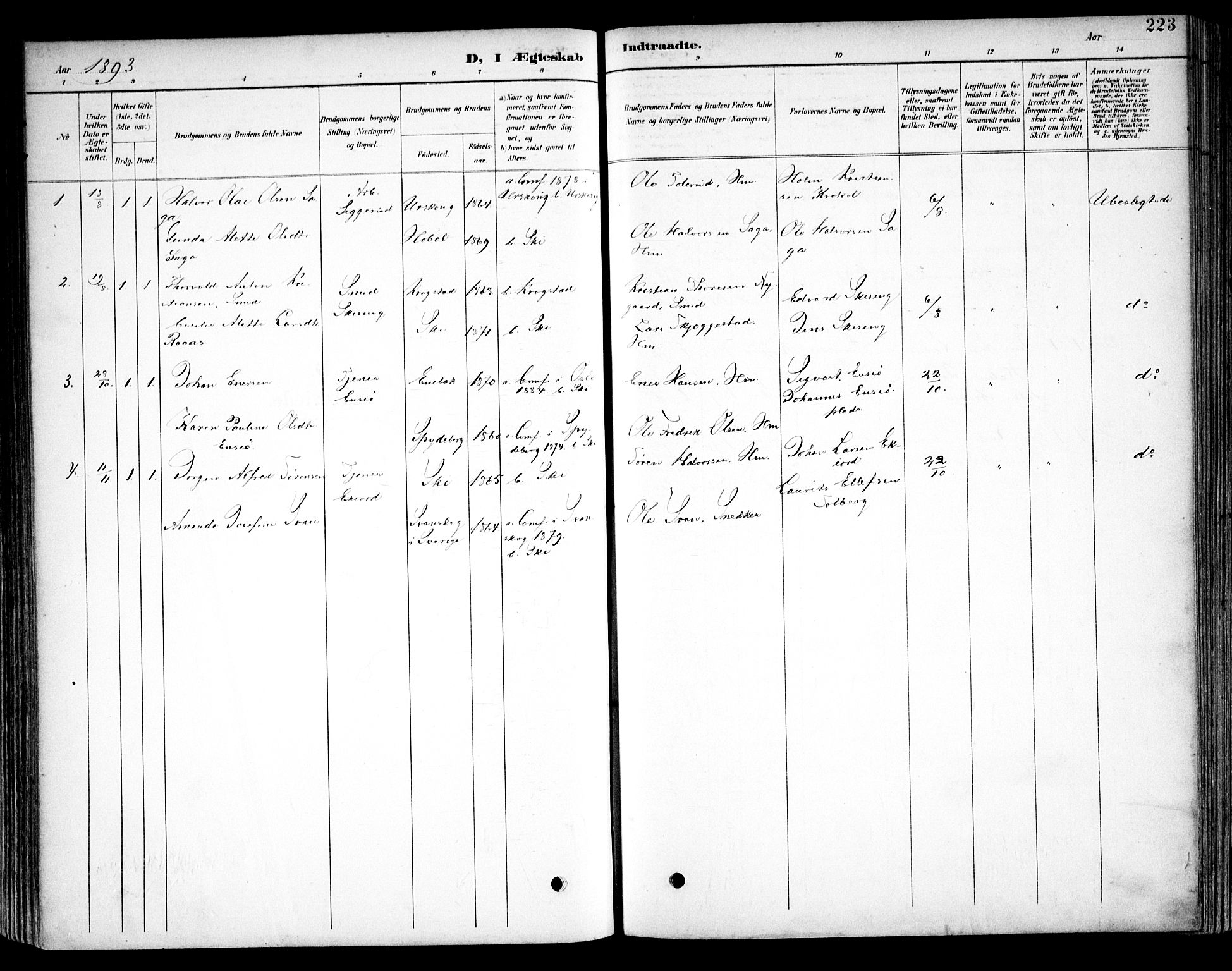 Kråkstad prestekontor Kirkebøker, SAO/A-10125a/F/Fb/L0002: Parish register (official) no. II 2, 1893-1917, p. 223
