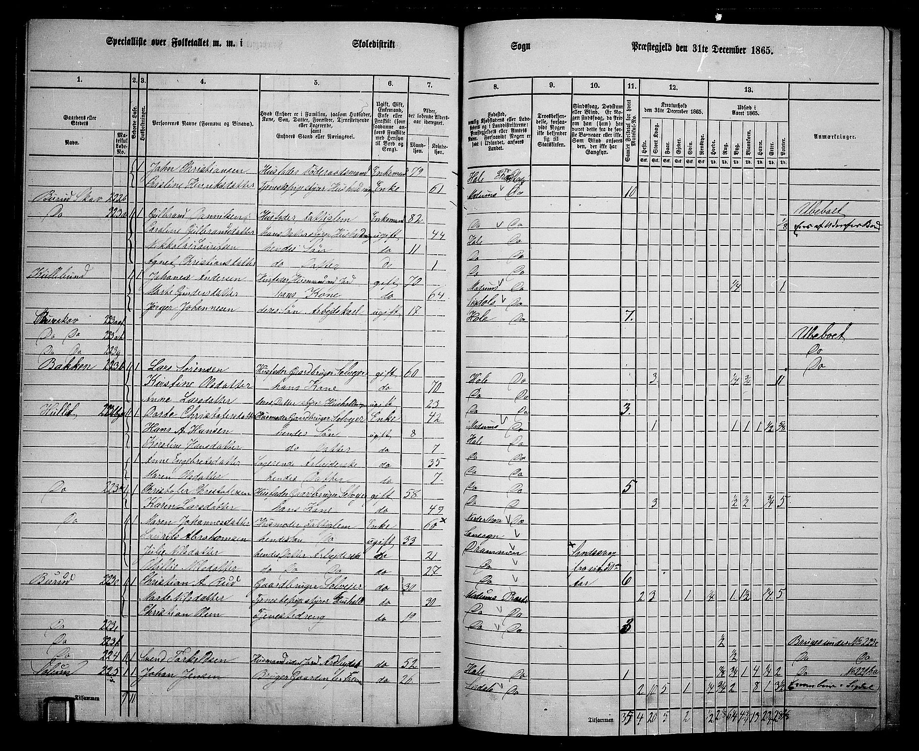 RA, 1865 census for Hole, 1865, p. 154