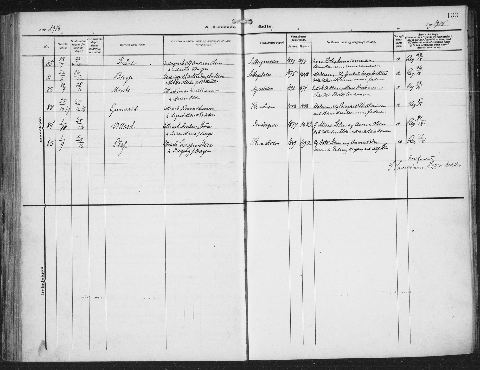 Nedre Eiker kirkebøker, AV/SAKO-A-612/F/Fa/L0007: Parish register (official) no. 7, 1912-1918, p. 133