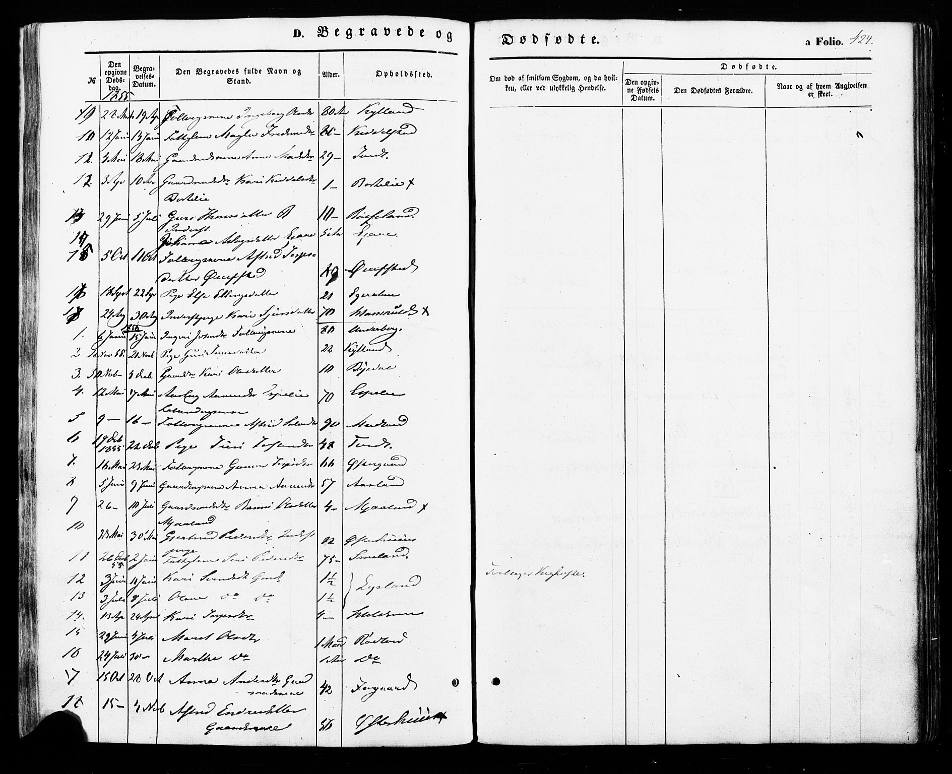 Åseral sokneprestkontor, SAK/1111-0051/F/Fa/L0002: Parish register (official) no. A 2, 1854-1884, p. 424