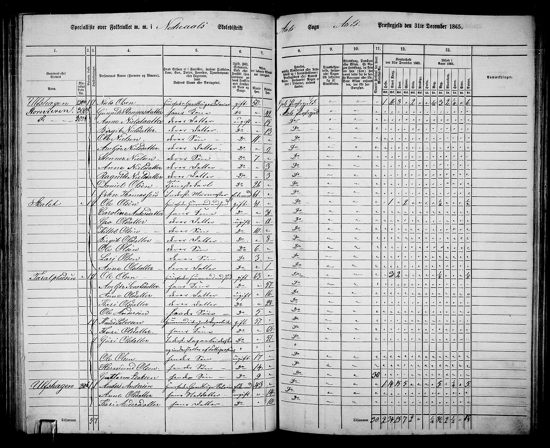 RA, 1865 census for Ål, 1865, p. 139