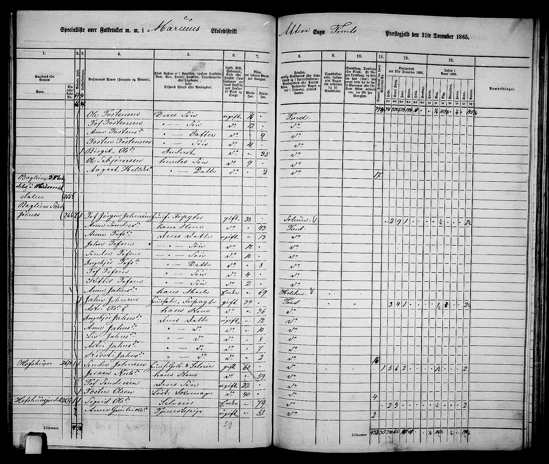 RA, 1865 census for Tinn, 1865, p. 77