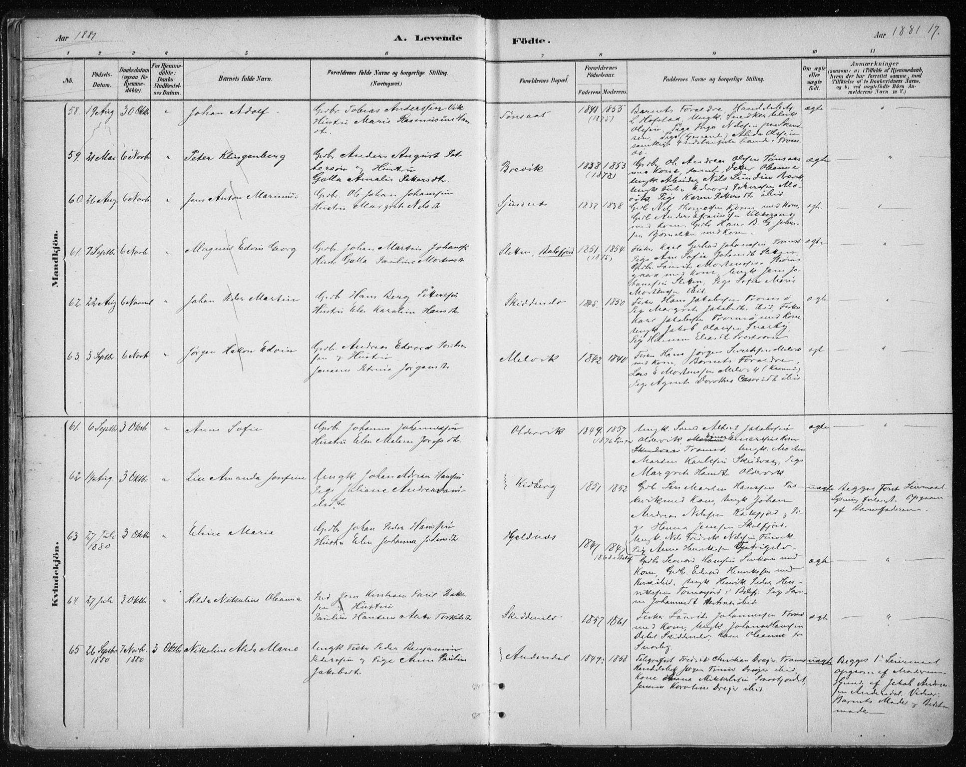 Tromsøysund sokneprestkontor, AV/SATØ-S-1304/G/Ga/L0004kirke: Parish register (official) no. 4, 1880-1888, p. 17