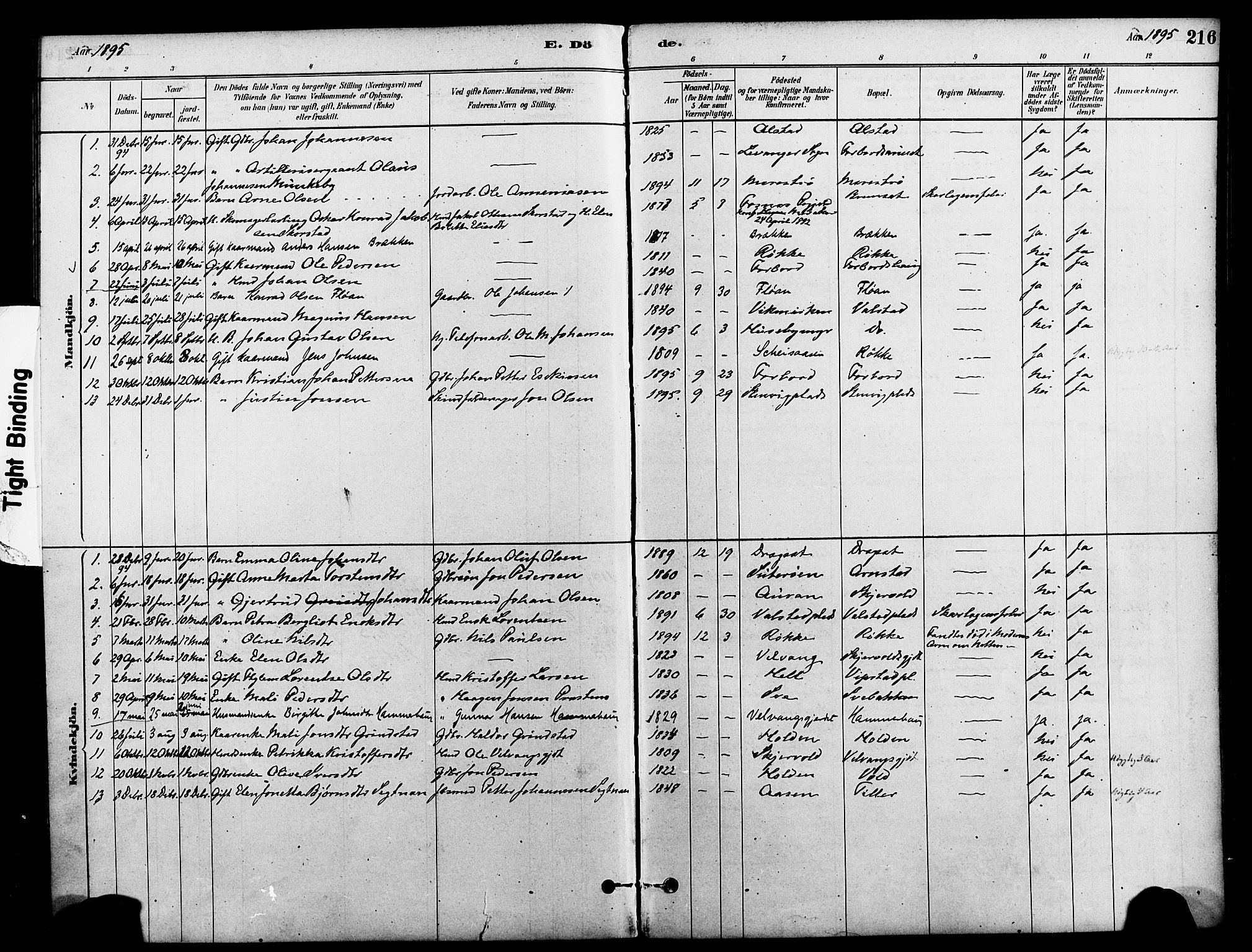 Ministerialprotokoller, klokkerbøker og fødselsregistre - Nord-Trøndelag, SAT/A-1458/712/L0100: Parish register (official) no. 712A01, 1880-1900, p. 216