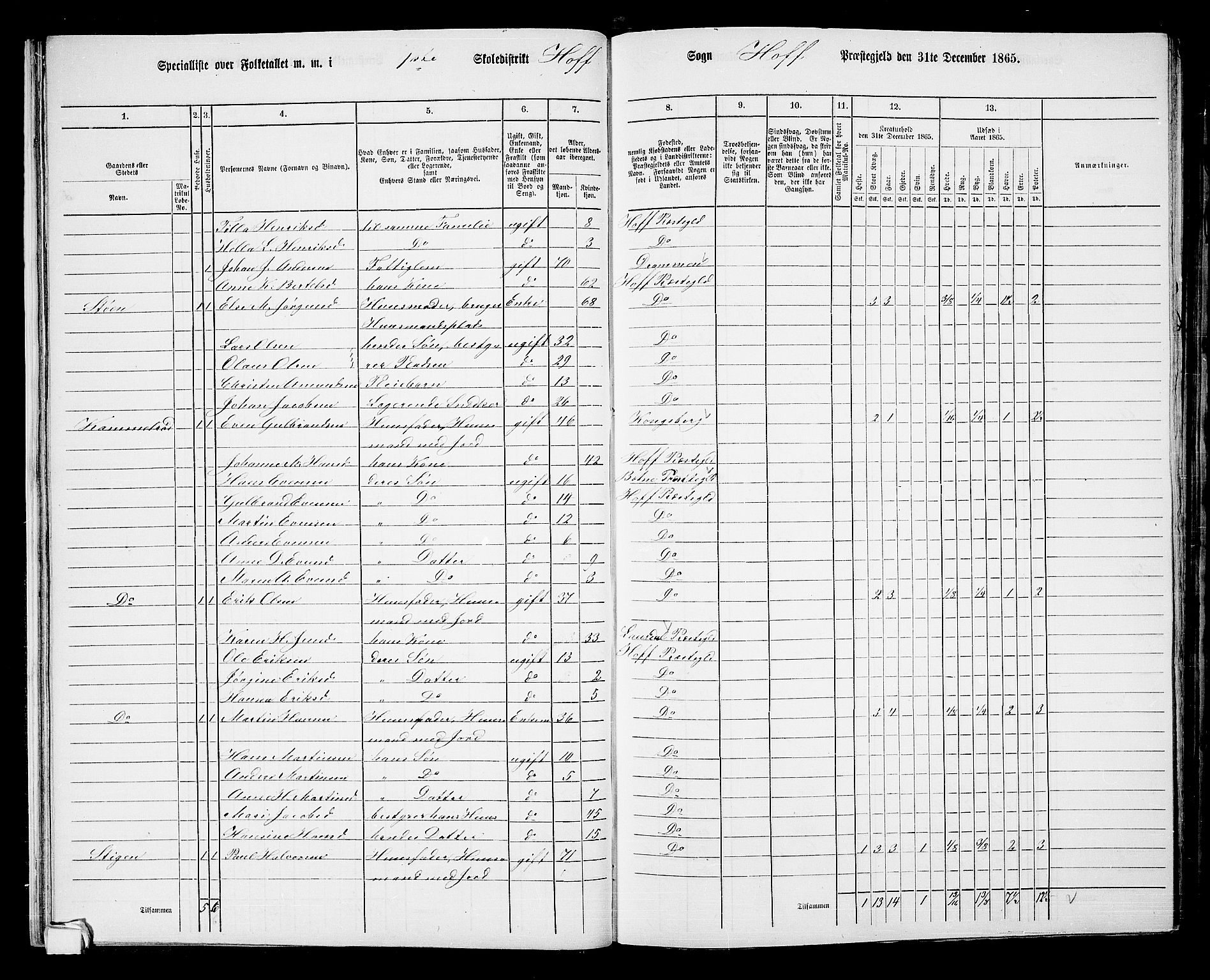 RA, 1865 census for Hof, 1865, p. 28