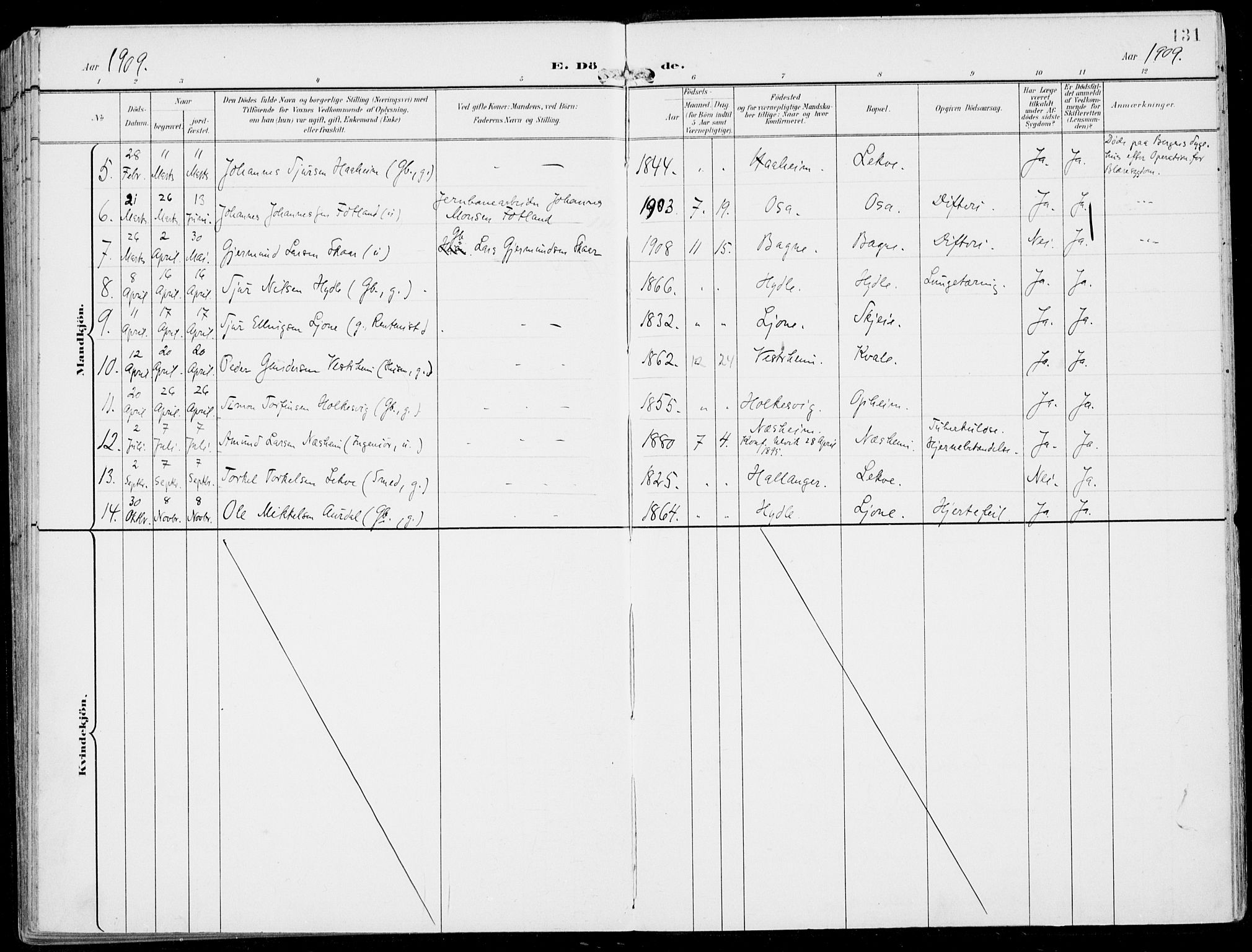 Ulvik sokneprestembete, AV/SAB-A-78801/H/Haa: Parish register (official) no. B  2, 1898-1924, p. 131