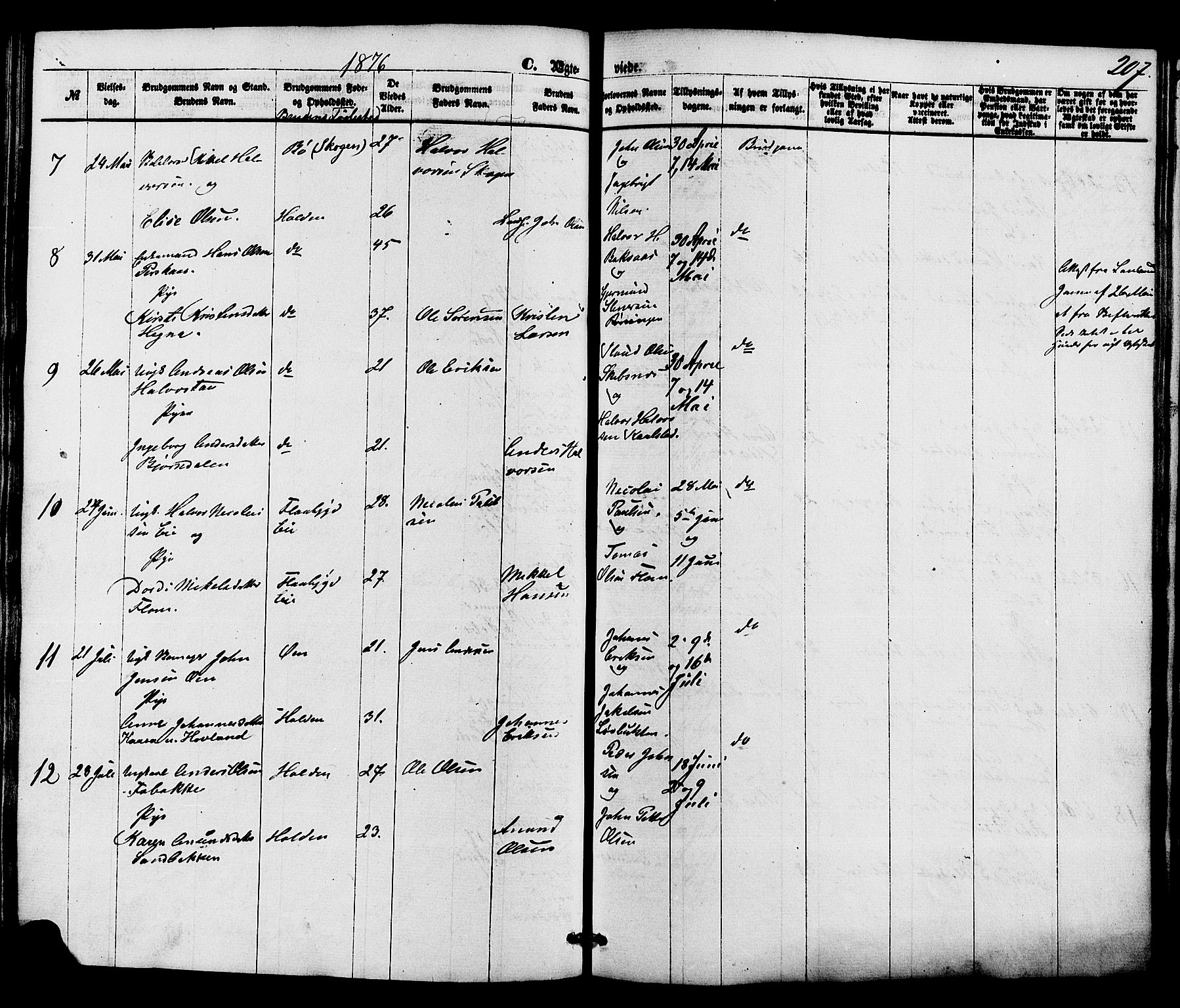 Holla kirkebøker, SAKO/A-272/F/Fa/L0007: Parish register (official) no. 7, 1869-1881, p. 207