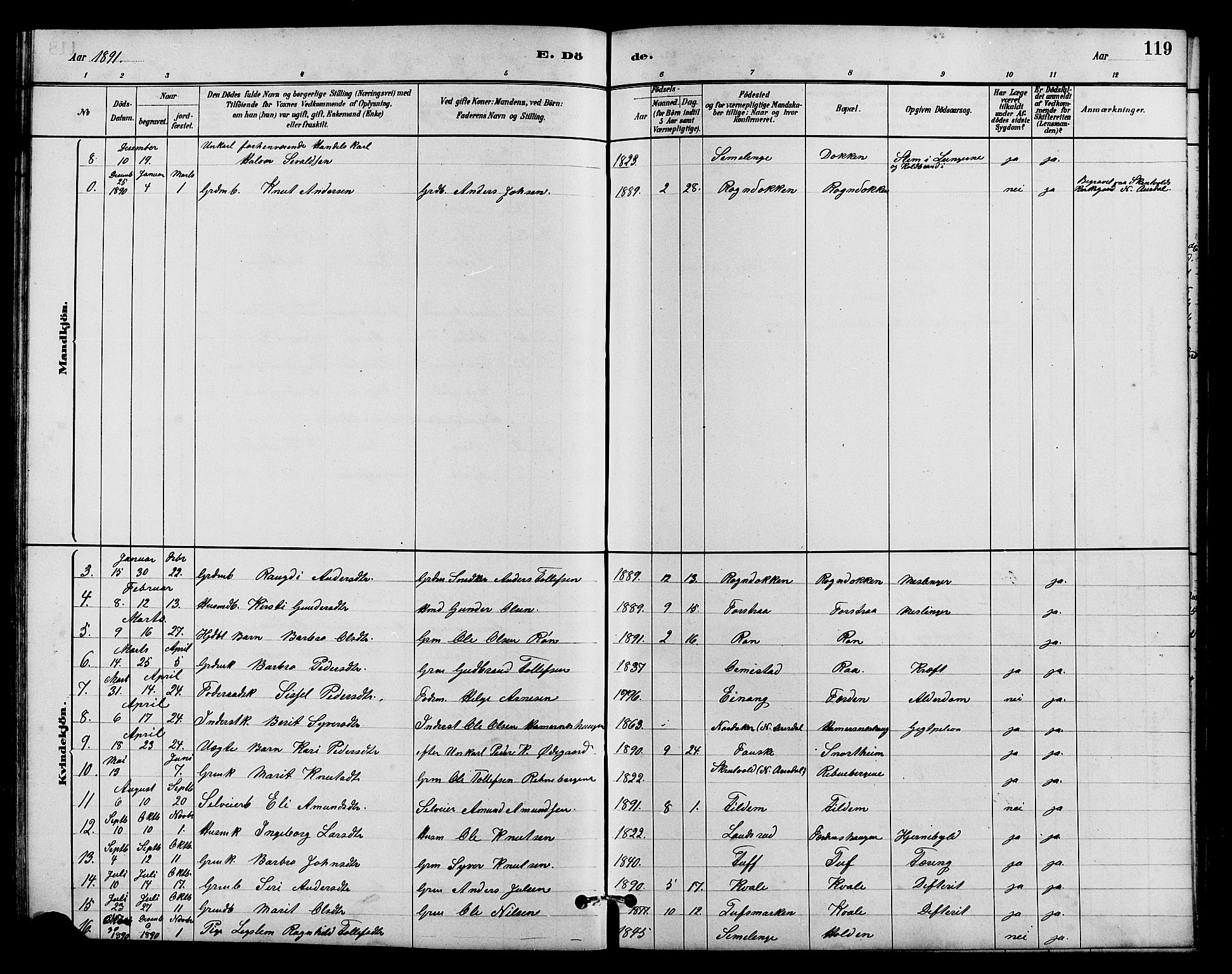 Vestre Slidre prestekontor, SAH/PREST-136/H/Ha/Hab/L0005: Parish register (copy) no. 5, 1881-1913, p. 119