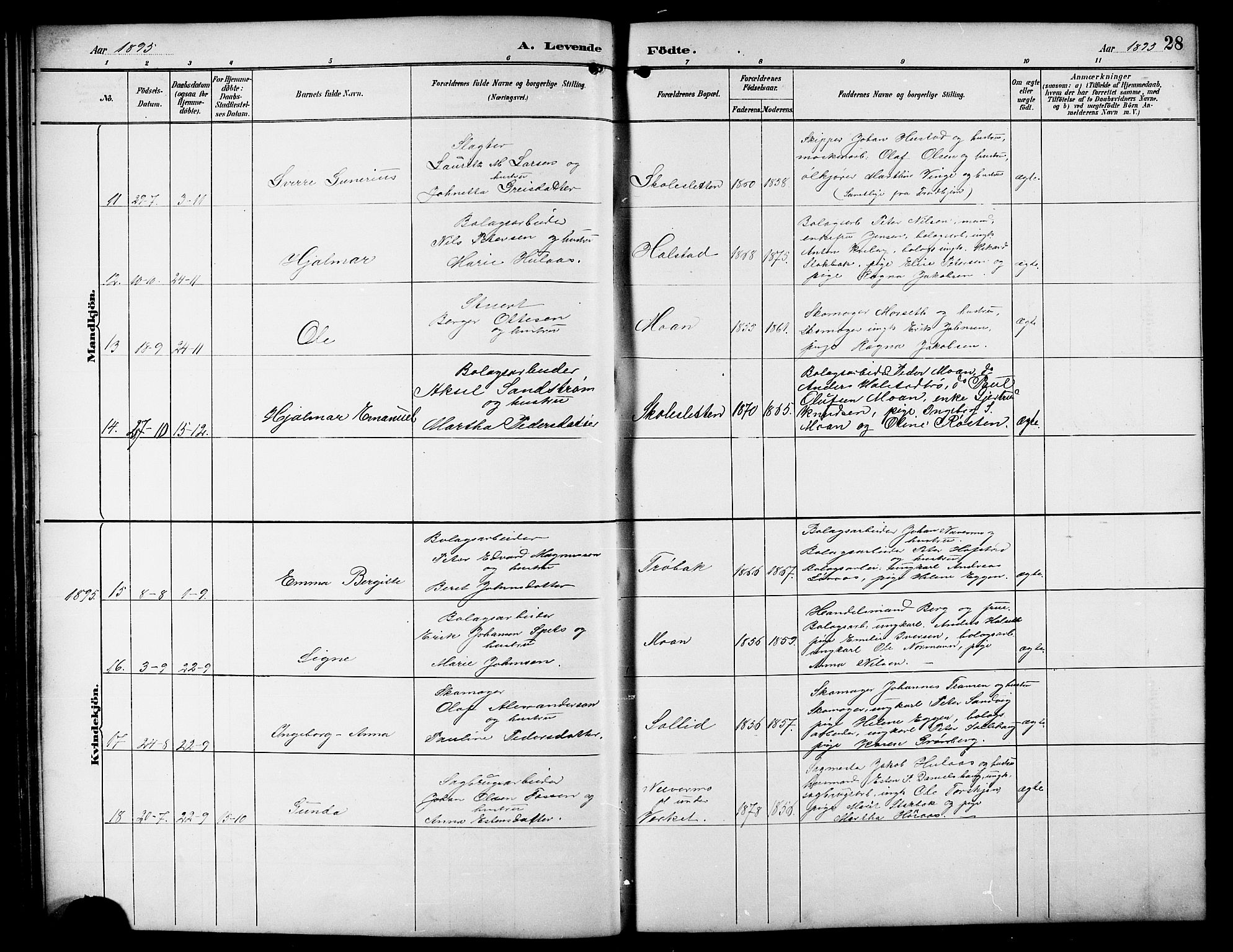 Ministerialprotokoller, klokkerbøker og fødselsregistre - Sør-Trøndelag, SAT/A-1456/617/L0431: Parish register (copy) no. 617C01, 1889-1910, p. 28