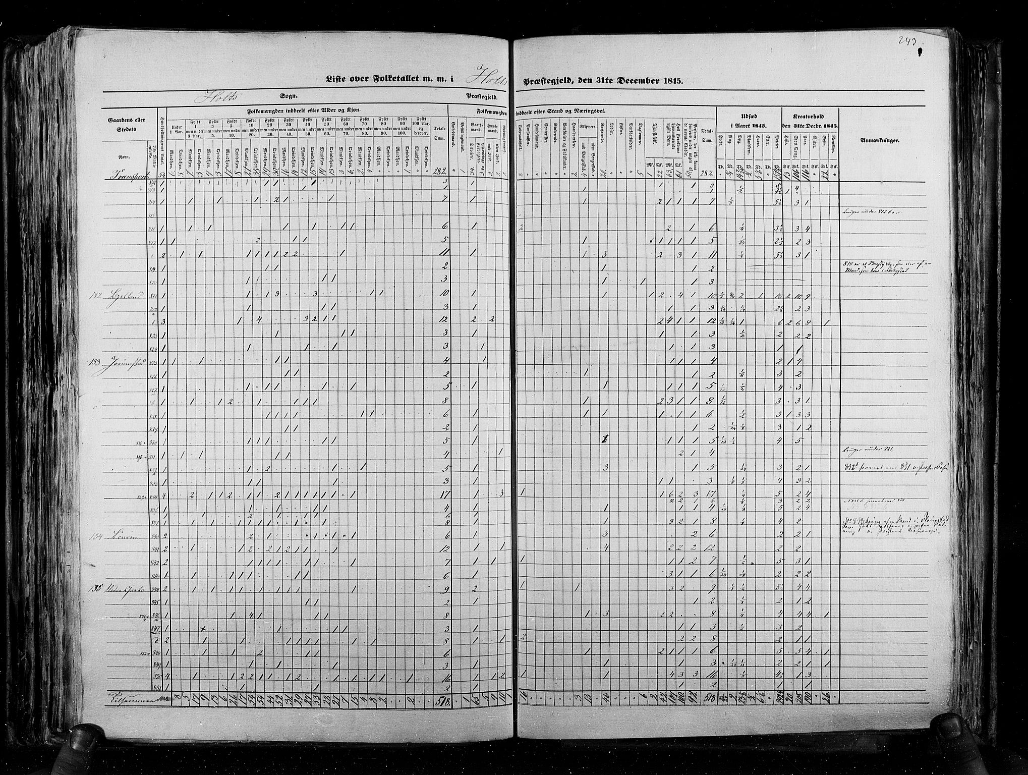 RA, Census 1845, vol. 5: Bratsberg amt og Nedenes og Råbyggelaget amt, 1845, p. 243