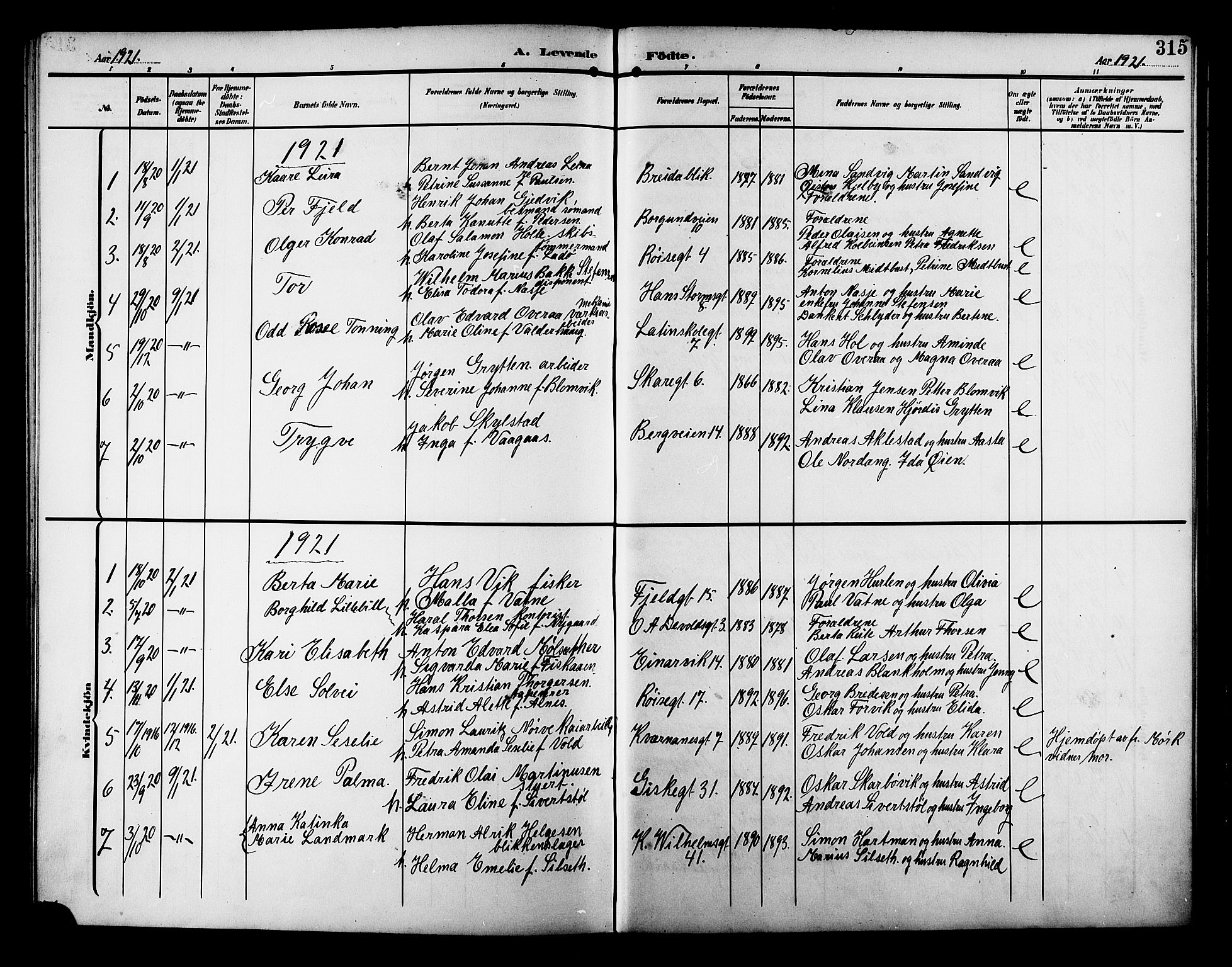 Ministerialprotokoller, klokkerbøker og fødselsregistre - Møre og Romsdal, AV/SAT-A-1454/529/L0471: Parish register (copy) no. 529C08, 1909-1921, p. 315