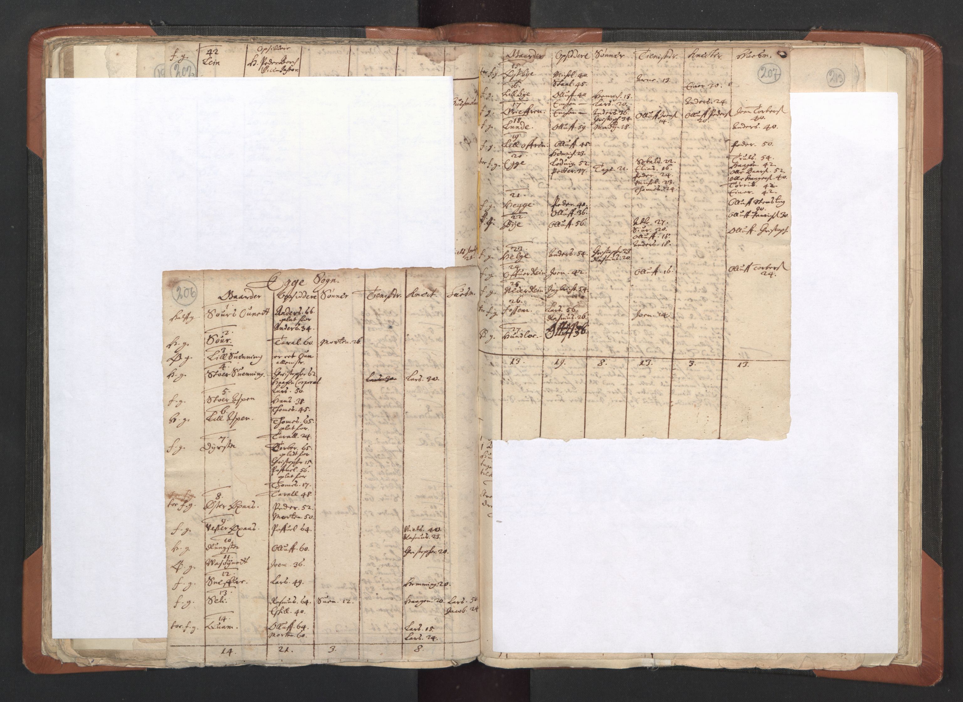 RA, Vicar's Census 1664-1666, no. 33: Innherad deanery, 1664-1666, p. 206-207