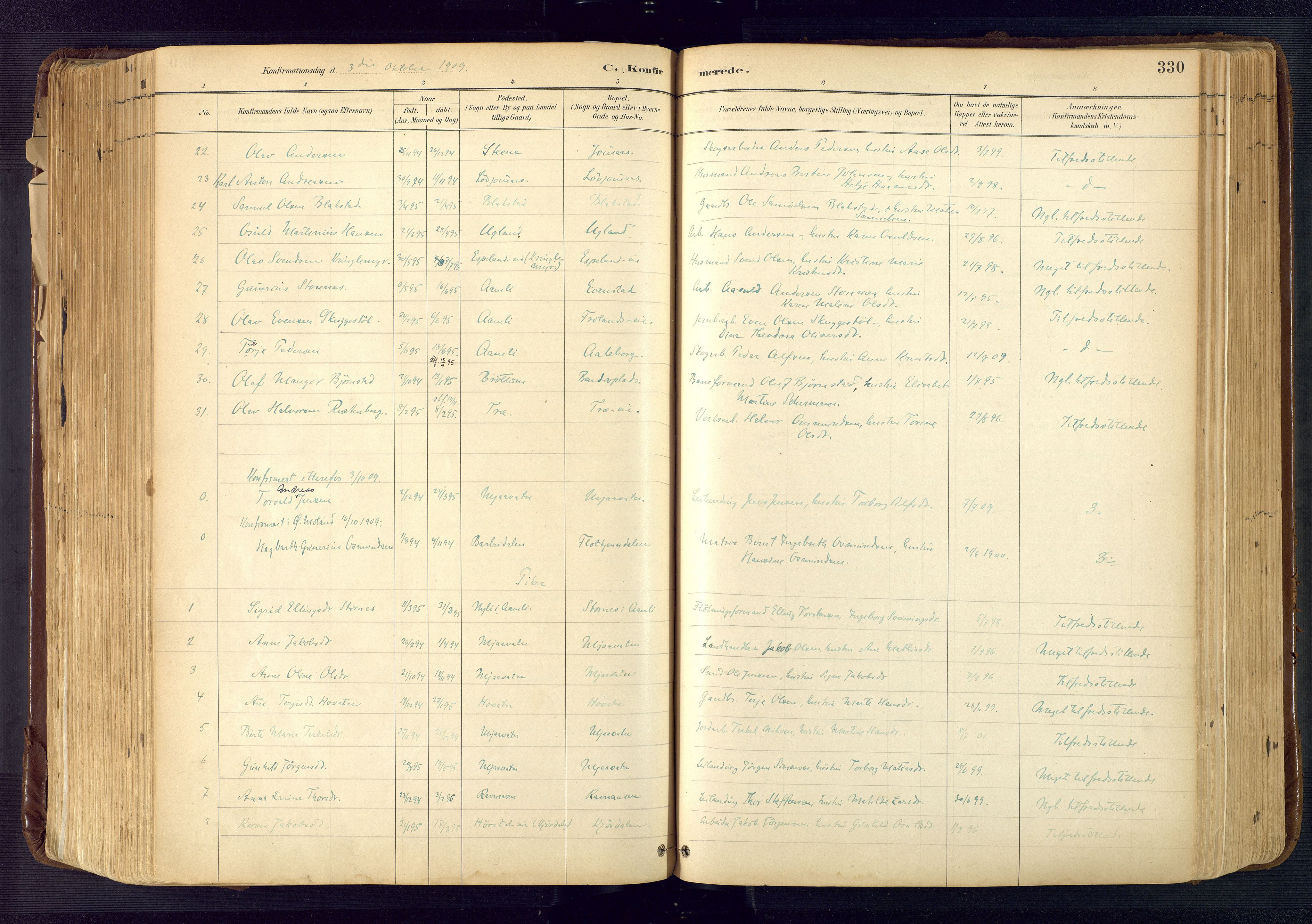 Froland sokneprestkontor, AV/SAK-1111-0013/F/Fa/L0005: Parish register (official) no. A 5, 1882-1921, p. 330