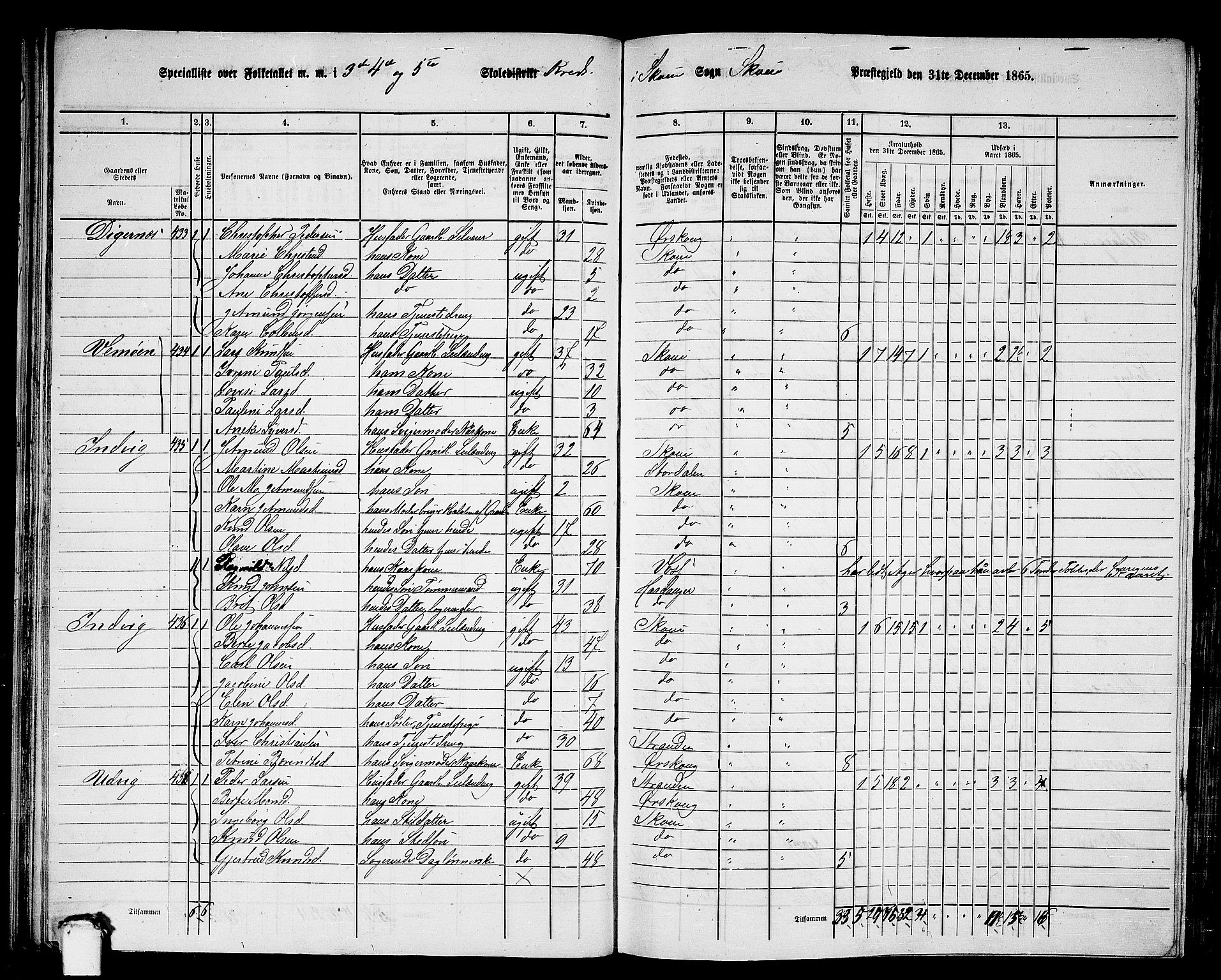 RA, 1865 census for Skodje, 1865, p. 41