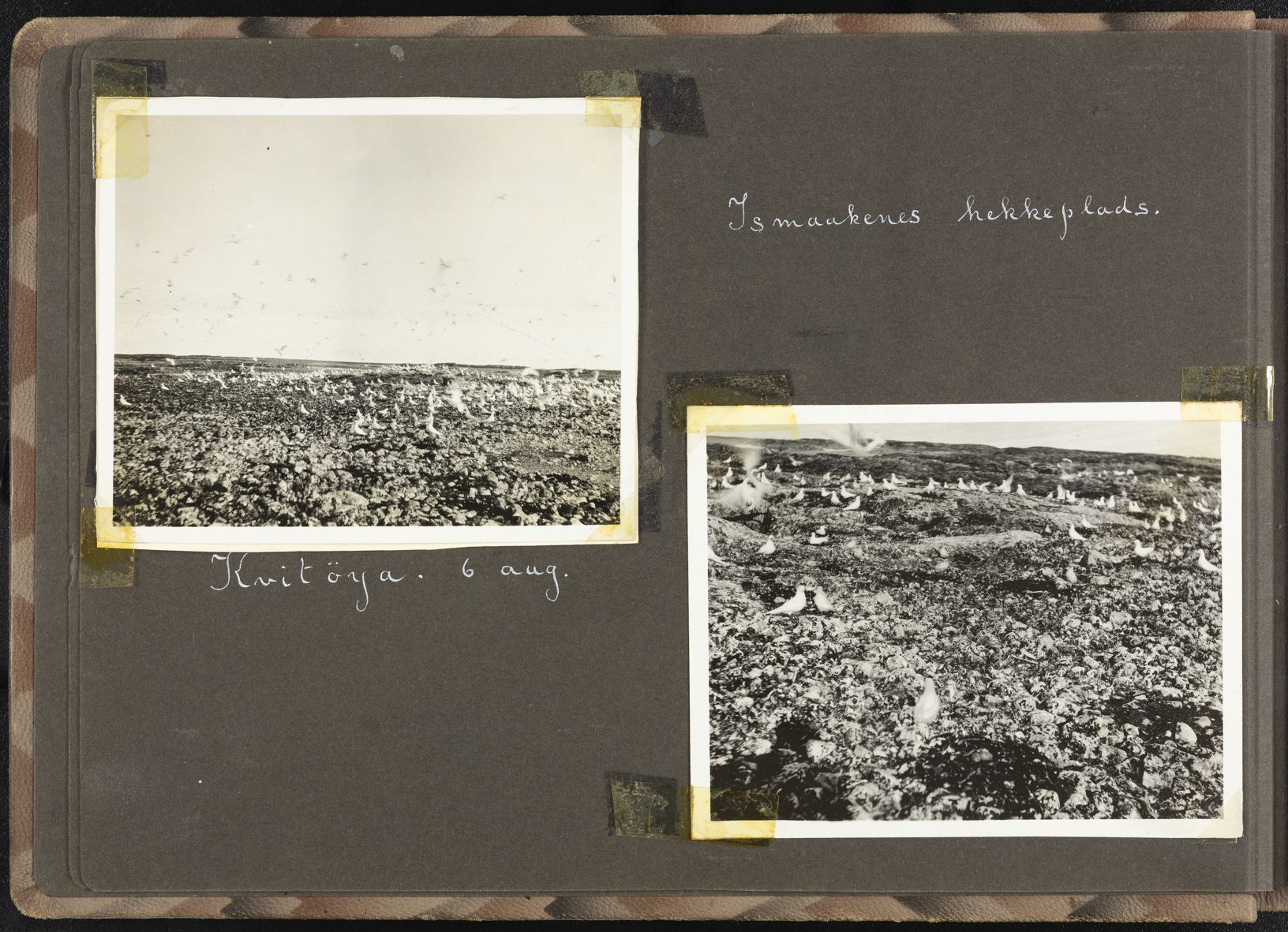 Sørensen, Adolf, AAKS/PA-2238/U/L0002: Fotoalbum fra Bratvaag-ekspedisjonen, 1930, p. 5