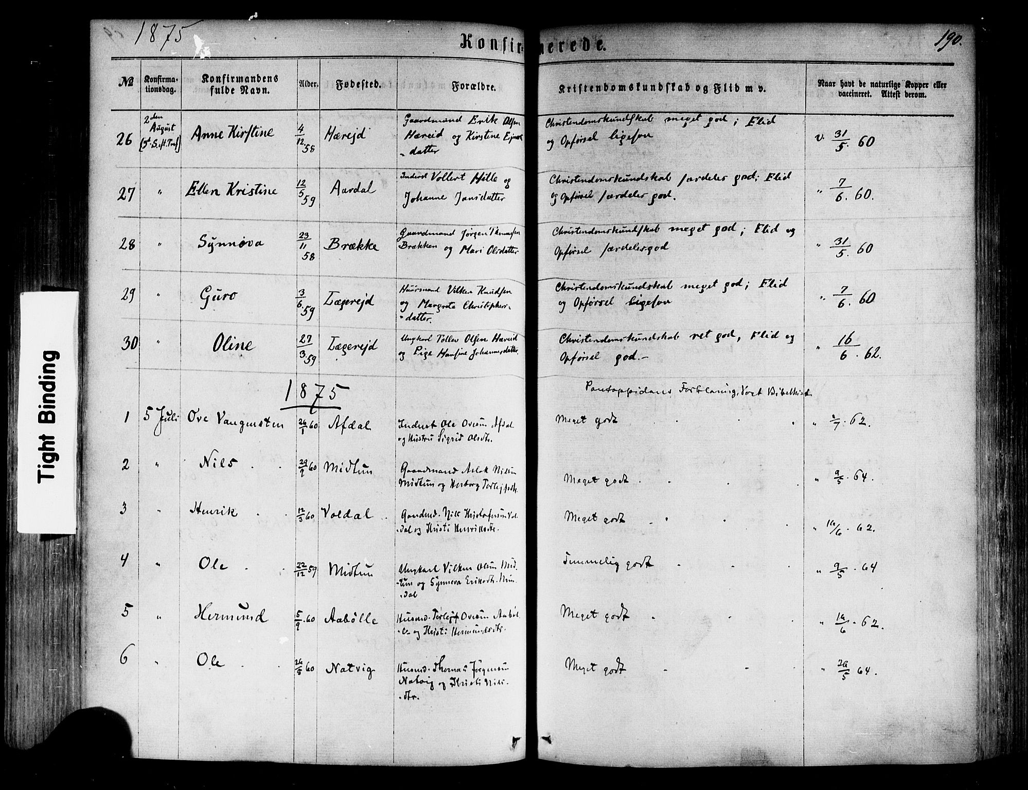 Årdal sokneprestembete, SAB/A-81701: Parish register (official) no. A 3, 1863-1886, p. 190