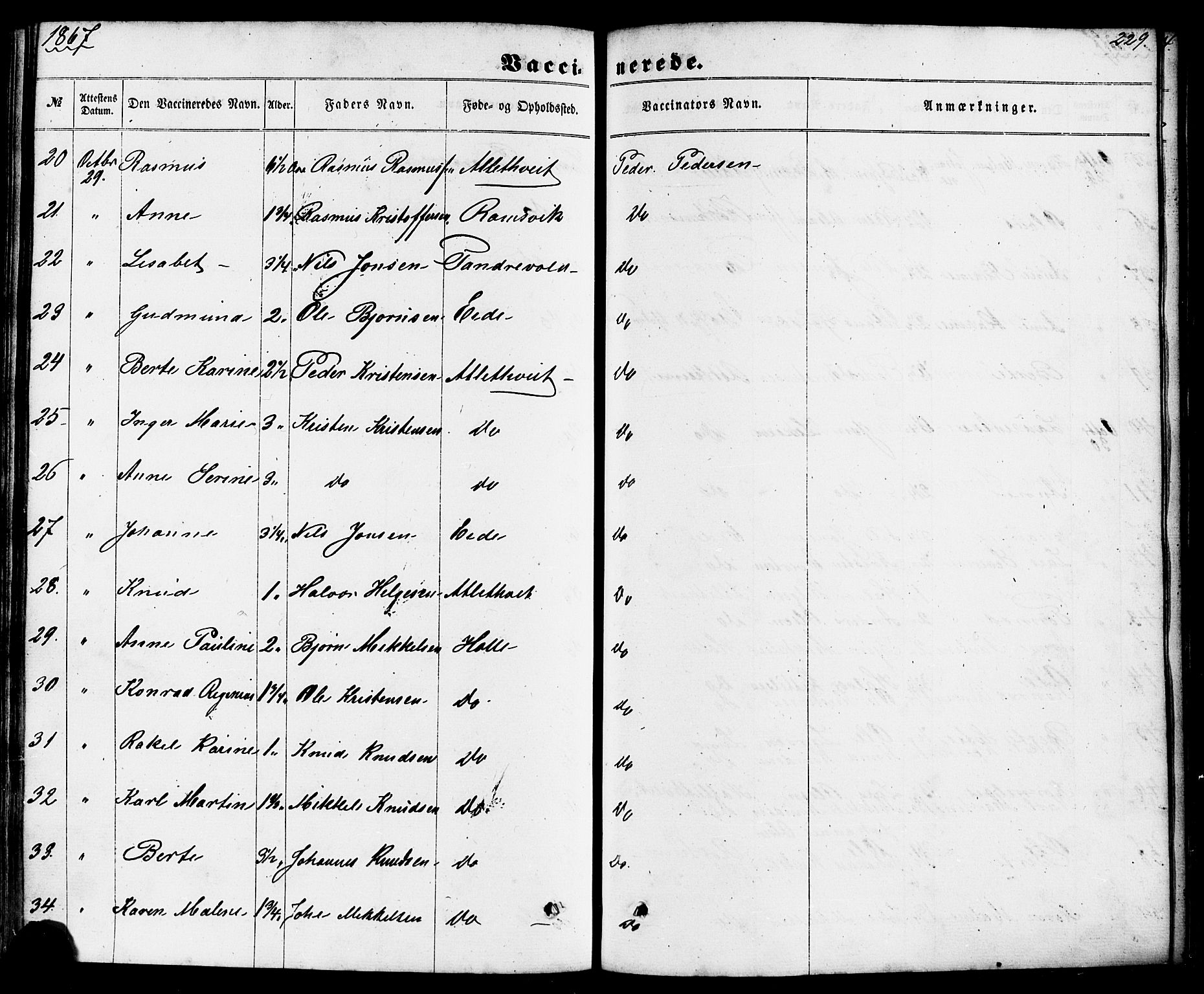 Nedstrand sokneprestkontor, SAST/A-101841/01/IV: Parish register (official) no. A 10, 1861-1887, p. 229