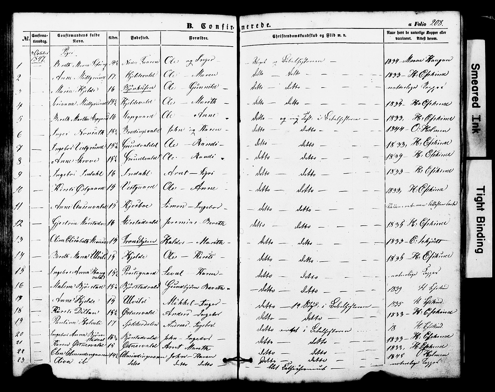 Ministerialprotokoller, klokkerbøker og fødselsregistre - Nord-Trøndelag, SAT/A-1458/724/L0268: Parish register (copy) no. 724C04, 1846-1878, p. 208
