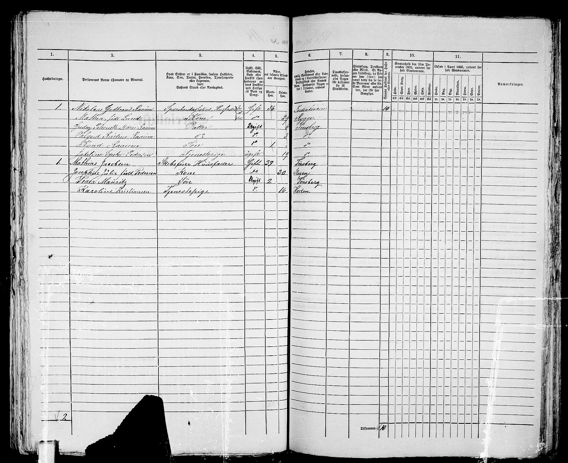 RA, 1865 census for Tønsberg, 1865, p. 259