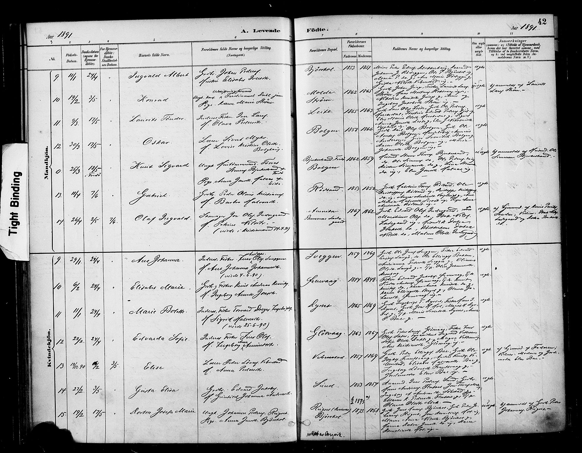 Ministerialprotokoller, klokkerbøker og fødselsregistre - Møre og Romsdal, AV/SAT-A-1454/569/L0819: Parish register (official) no. 569A05, 1885-1899, p. 42