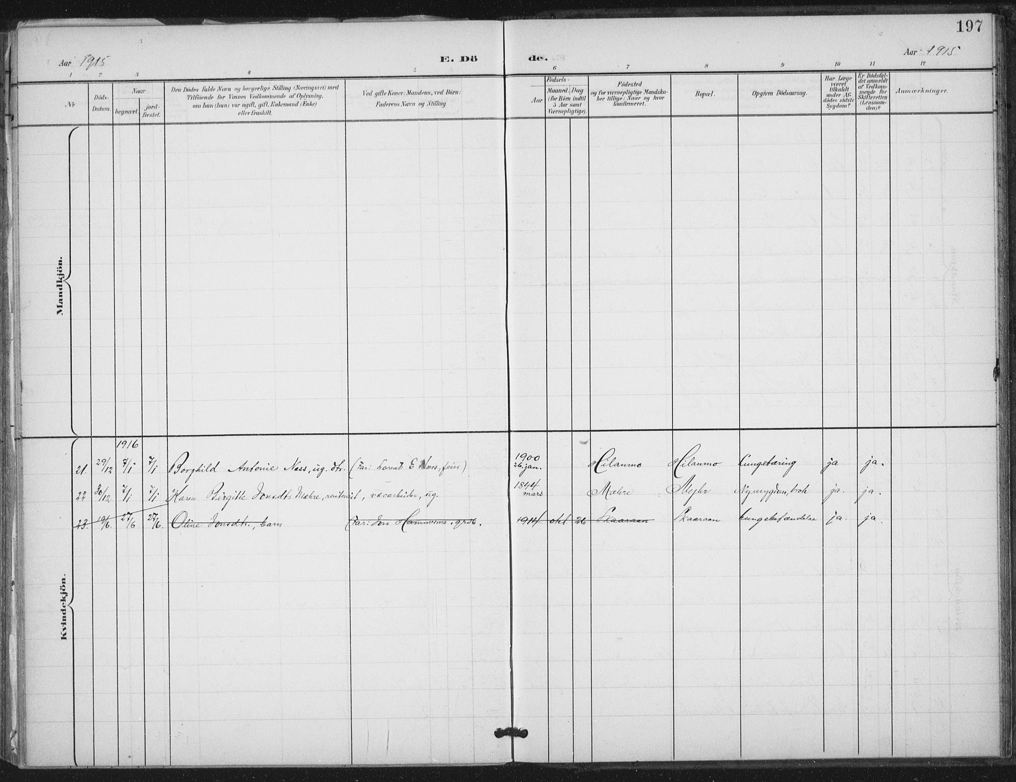 Ministerialprotokoller, klokkerbøker og fødselsregistre - Nord-Trøndelag, SAT/A-1458/712/L0101: Parish register (official) no. 712A02, 1901-1916, p. 197