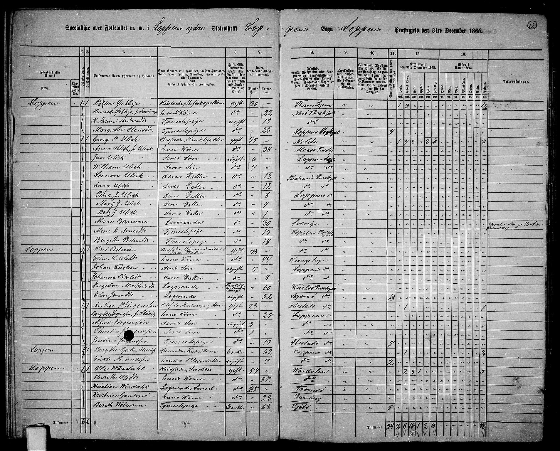 RA, 1865 census for Loppa, 1865, p. 11
