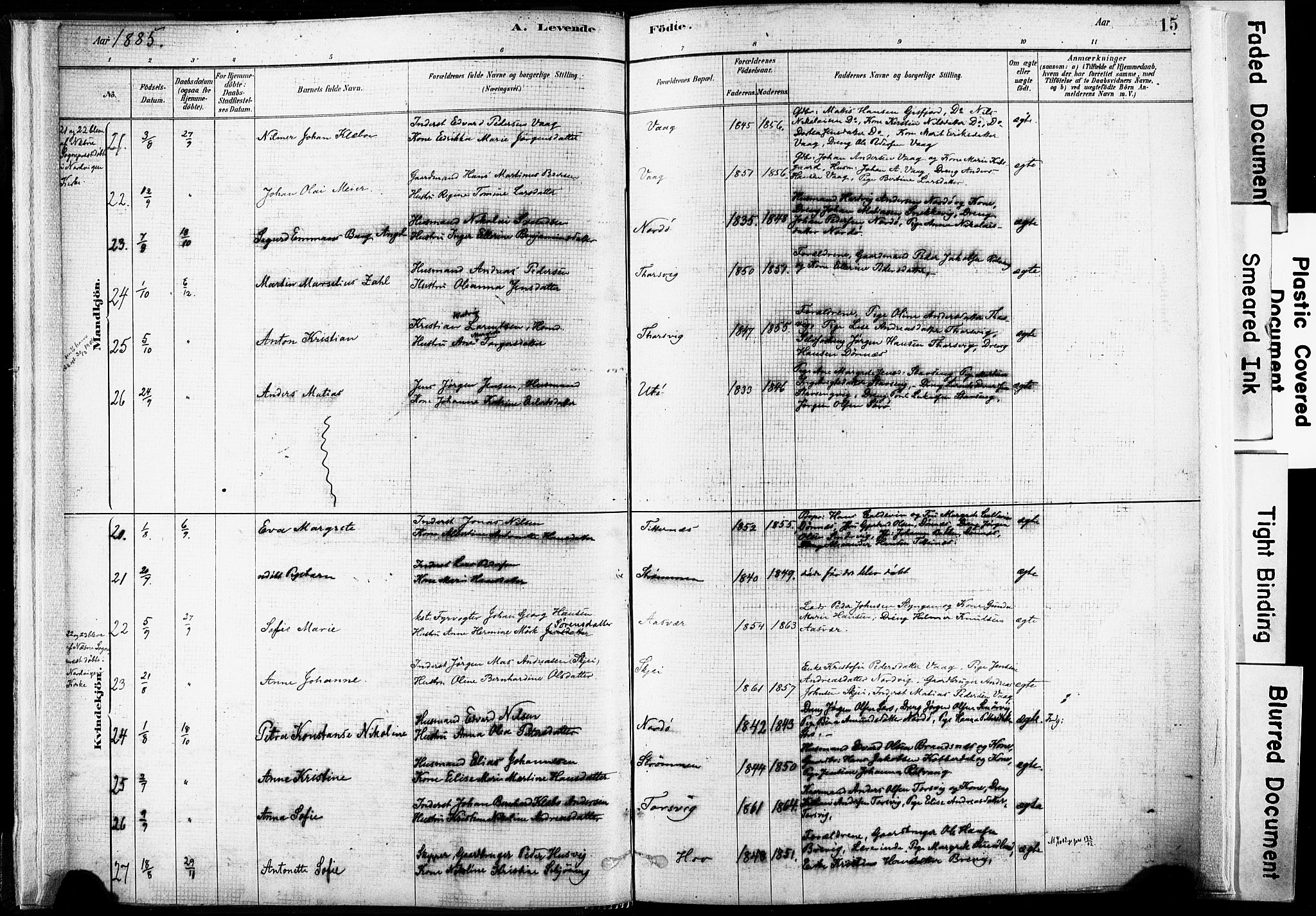 Ministerialprotokoller, klokkerbøker og fødselsregistre - Nordland, SAT/A-1459/835/L0525: Parish register (official) no. 835A03I, 1881-1910, p. 15