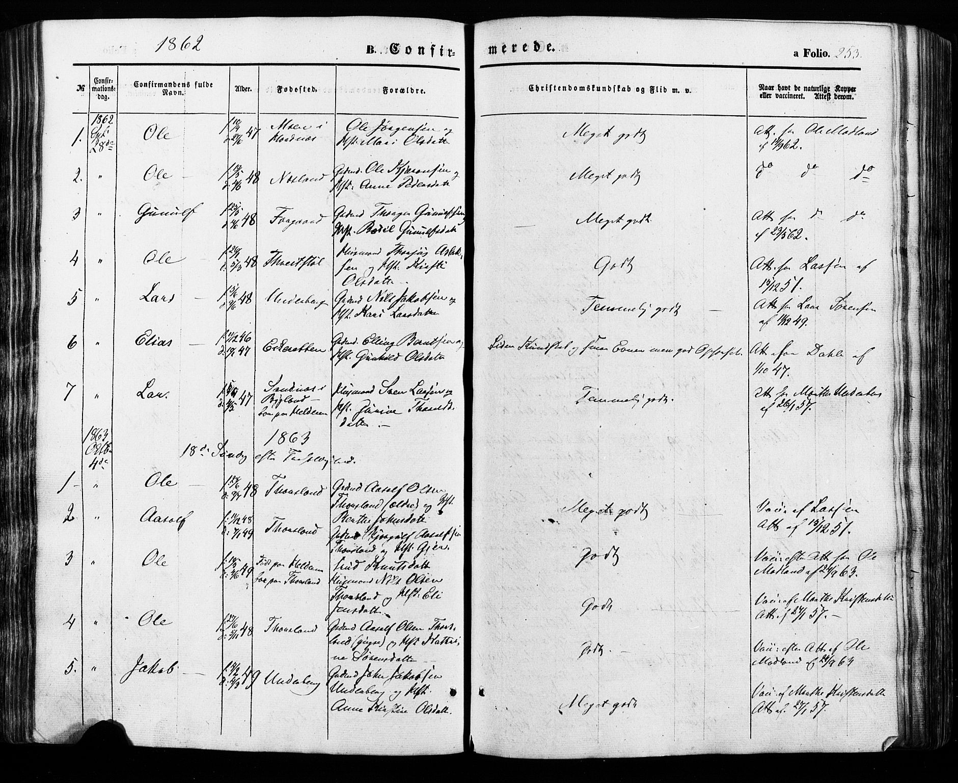 Åseral sokneprestkontor, SAK/1111-0051/F/Fa/L0002: Parish register (official) no. A 2, 1854-1884, p. 253