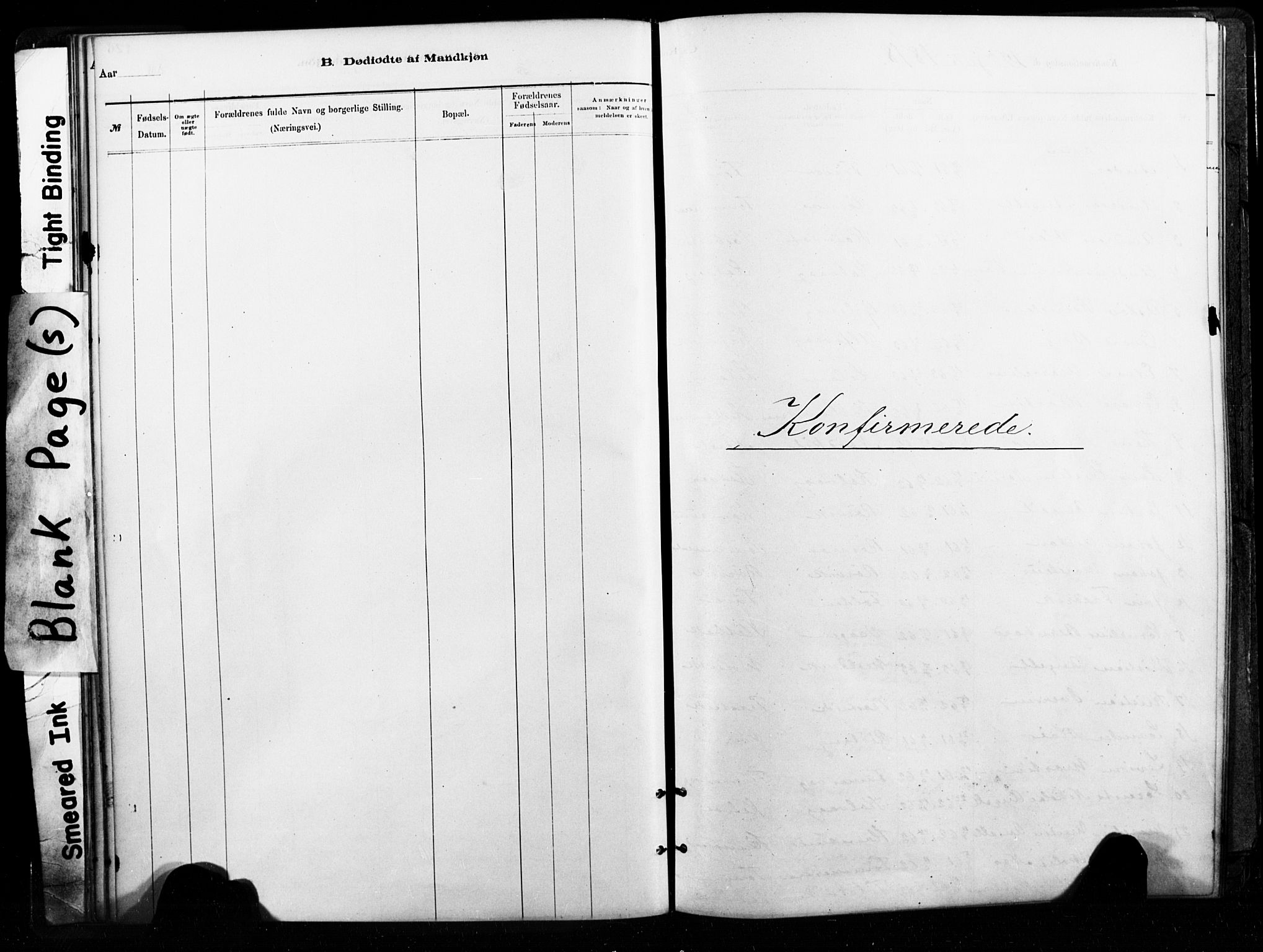 Ministerialprotokoller, klokkerbøker og fødselsregistre - Nordland, SAT/A-1459/859/L0846: Parish register (official) no. 859A06, 1878-1889