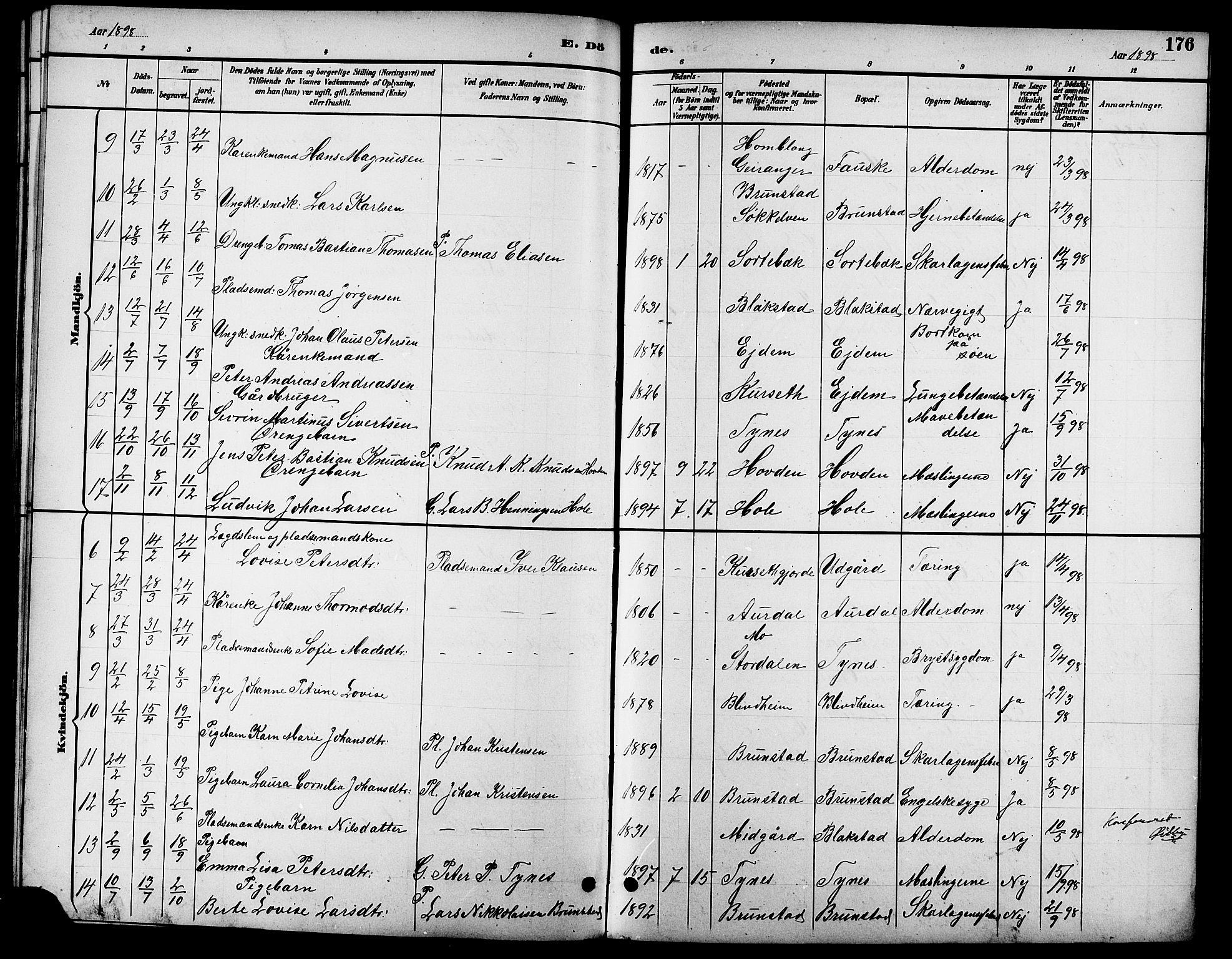 Ministerialprotokoller, klokkerbøker og fødselsregistre - Møre og Romsdal, AV/SAT-A-1454/523/L0340: Parish register (copy) no. 523C03, 1892-1902, p. 176