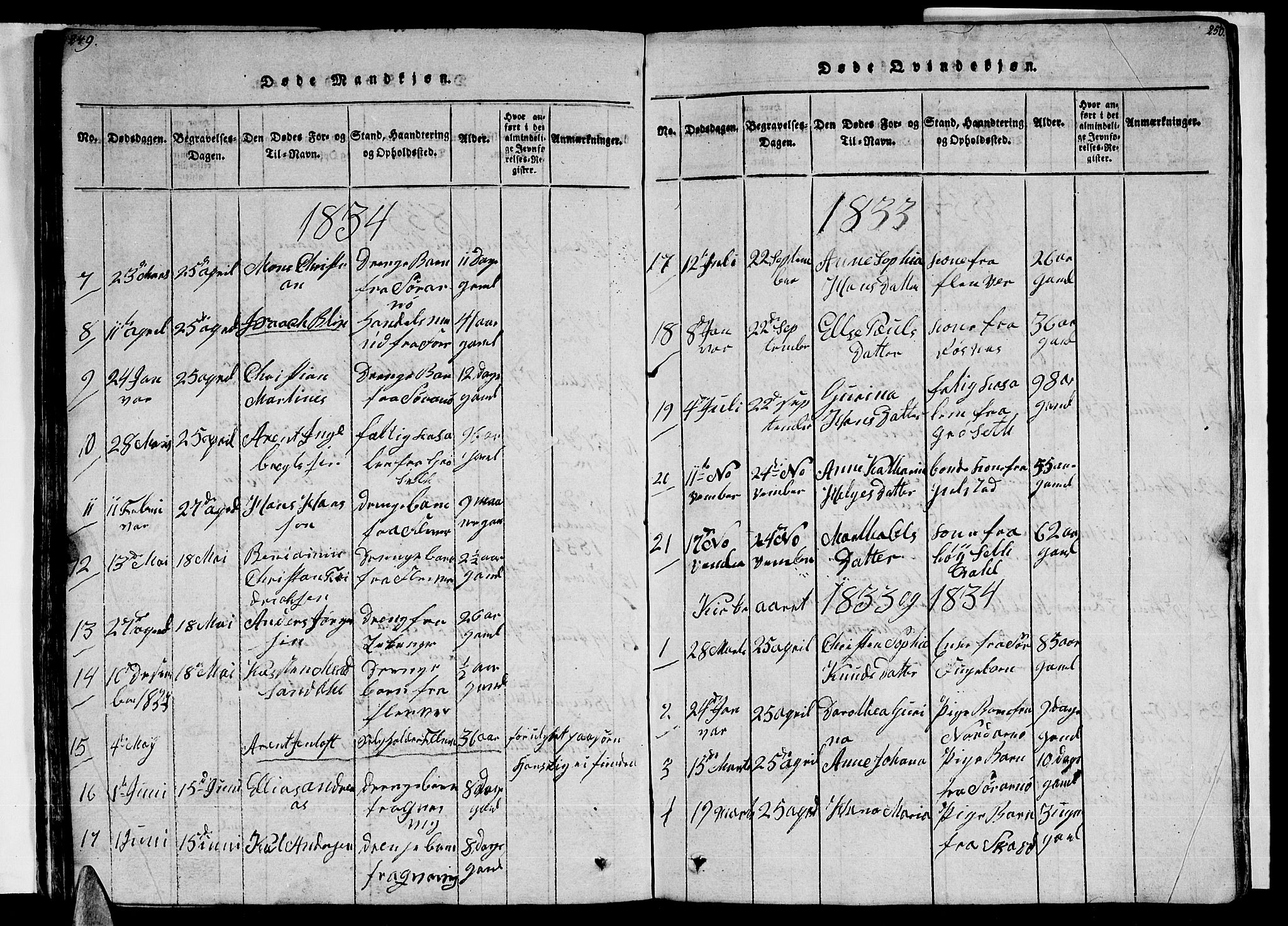 Ministerialprotokoller, klokkerbøker og fødselsregistre - Nordland, AV/SAT-A-1459/805/L0105: Parish register (copy) no. 805C01, 1820-1839, p. 249-250