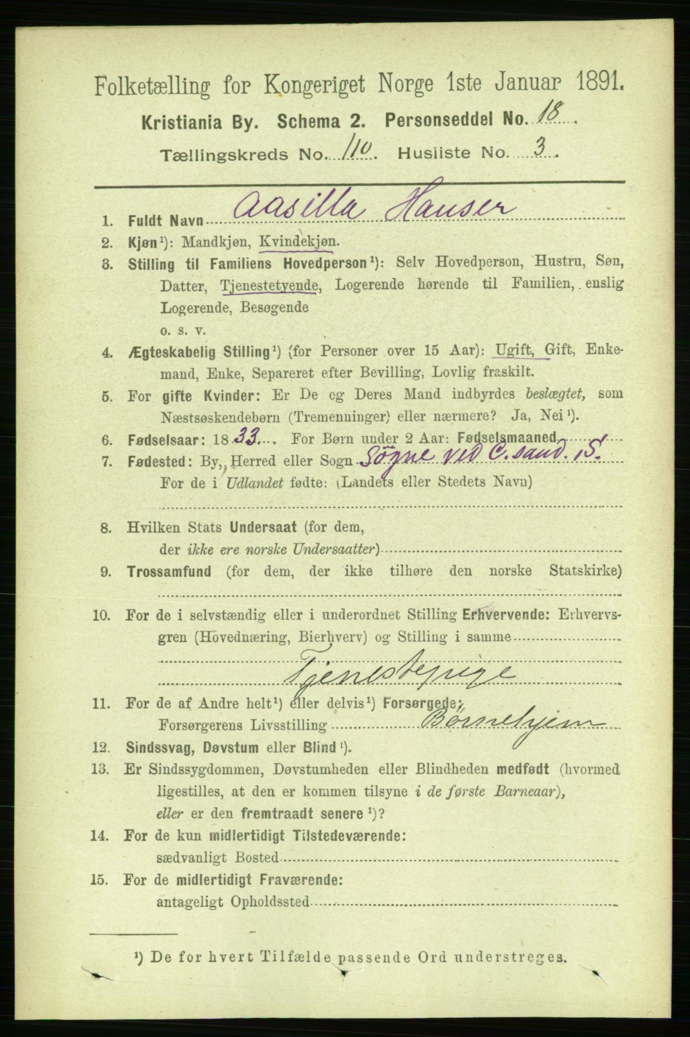 RA, 1891 census for 0301 Kristiania, 1891, p. 57196