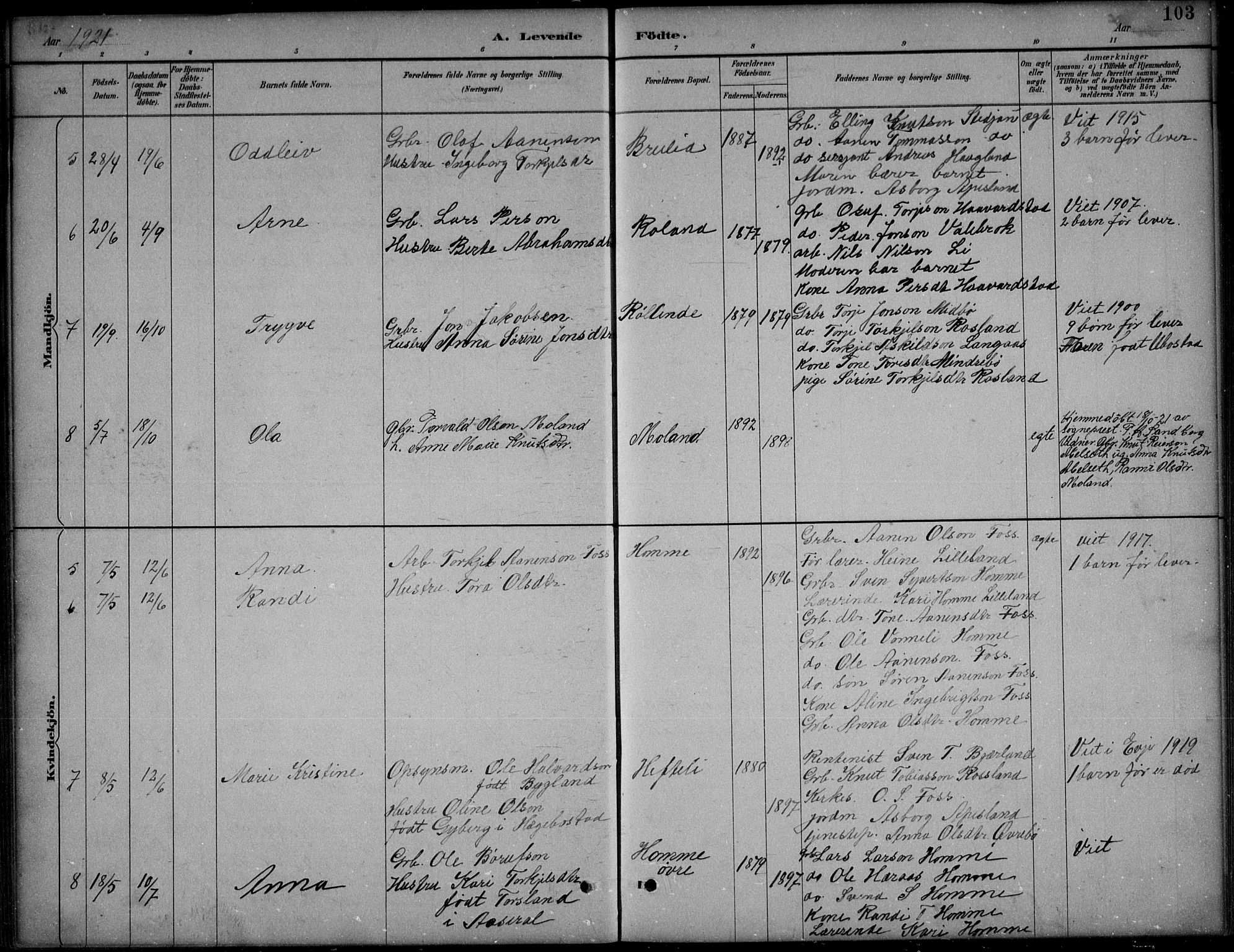 Bjelland sokneprestkontor, SAK/1111-0005/F/Fb/Fba/L0005: Parish register (copy) no. B 5, 1887-1923, p. 103