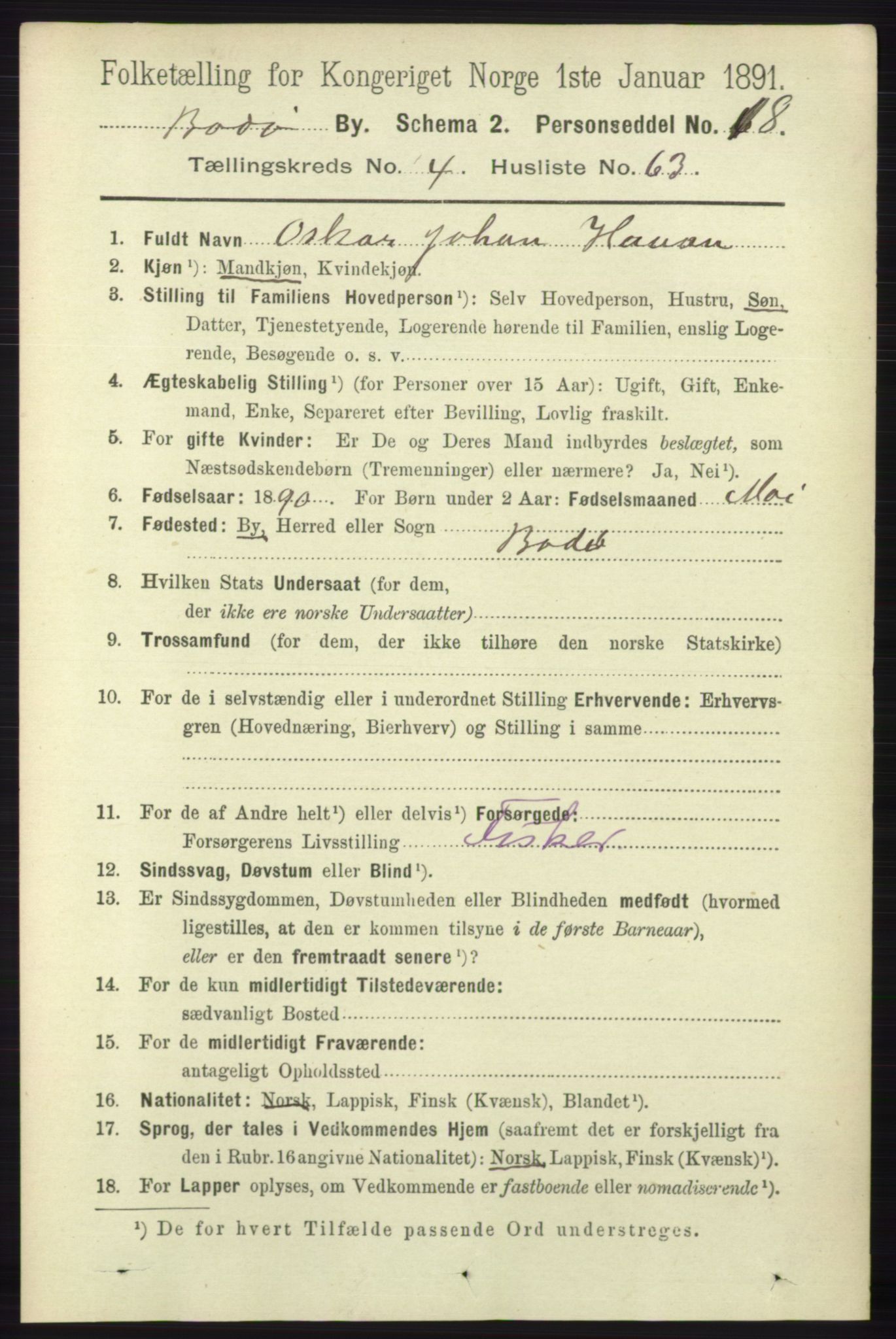 RA, 1891 census for 1804 Bodø, 1891, p. 3787