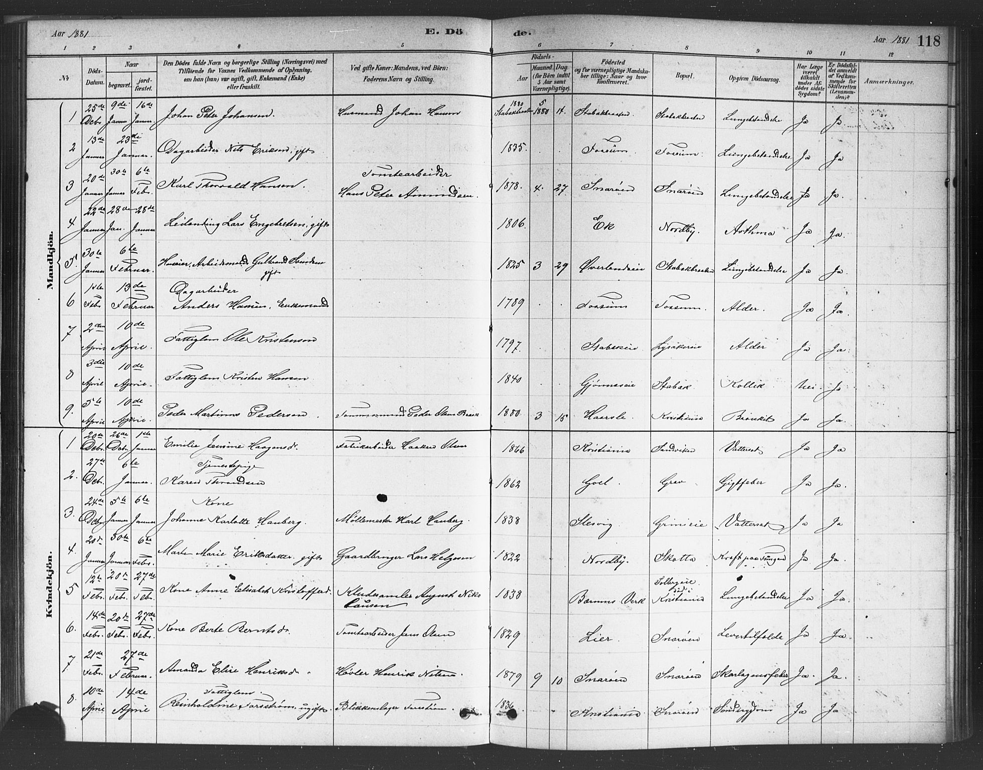 Asker prestekontor Kirkebøker, AV/SAO-A-10256a/F/Fc/L0001: Parish register (official) no. III 1, 1879-1892, p. 118