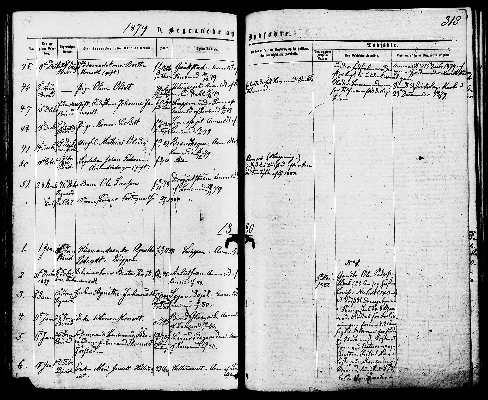 Biri prestekontor, SAH/PREST-096/H/Ha/Haa/L0006: Parish register (official) no. 6, 1877-1886, p. 318