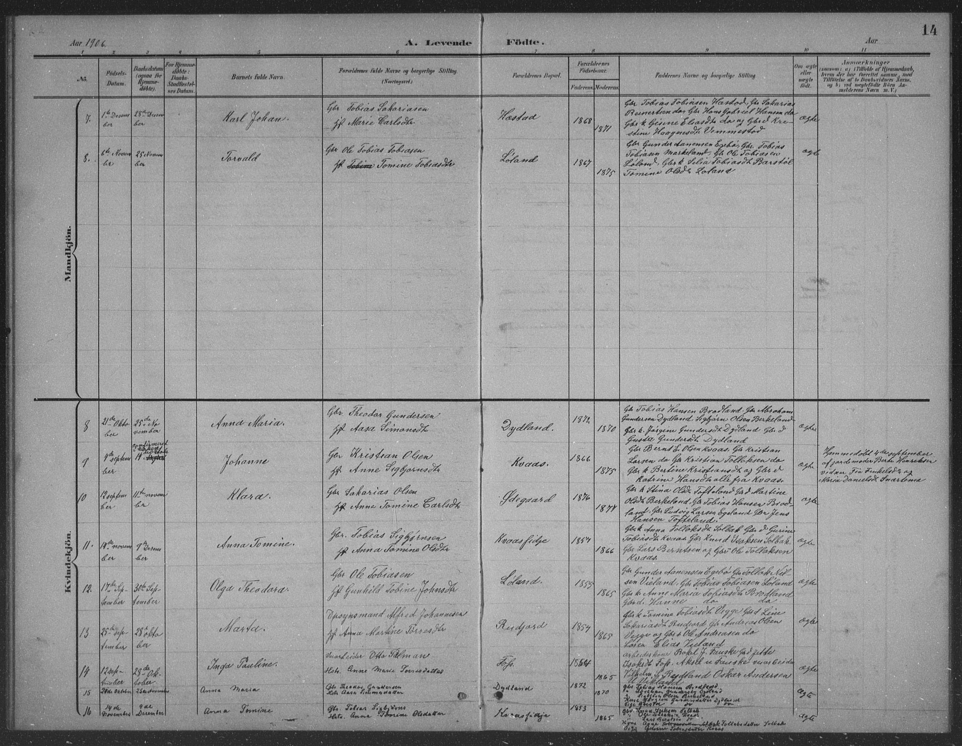 Lyngdal sokneprestkontor, AV/SAK-1111-0029/F/Fb/Fbb/L0002: Parish register (copy) no. B 2, 1901-1934, p. 14